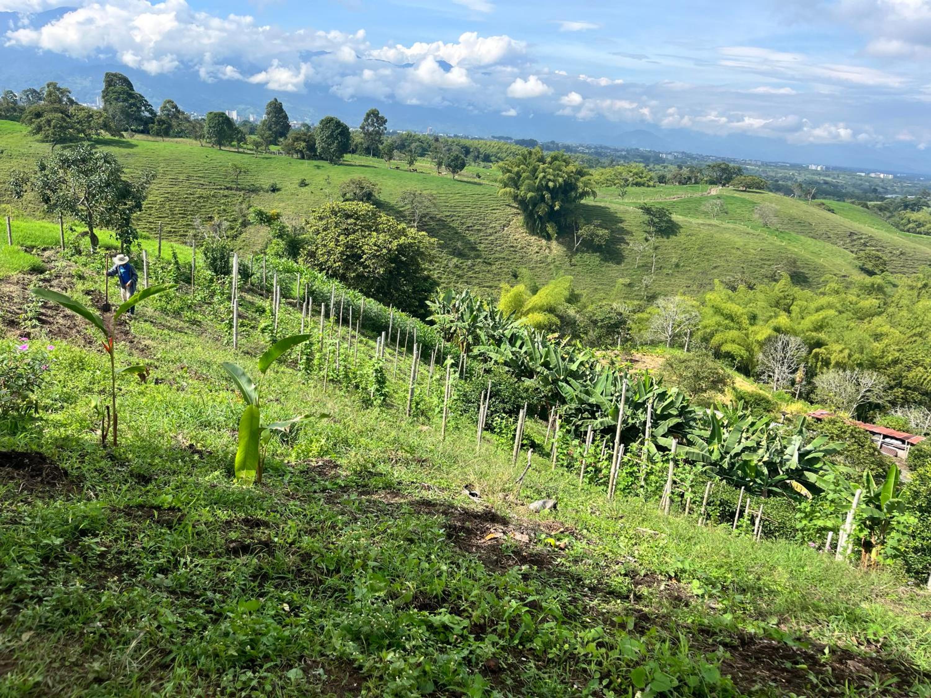 Finca La Molienda, espléndido Mirador del Quindio