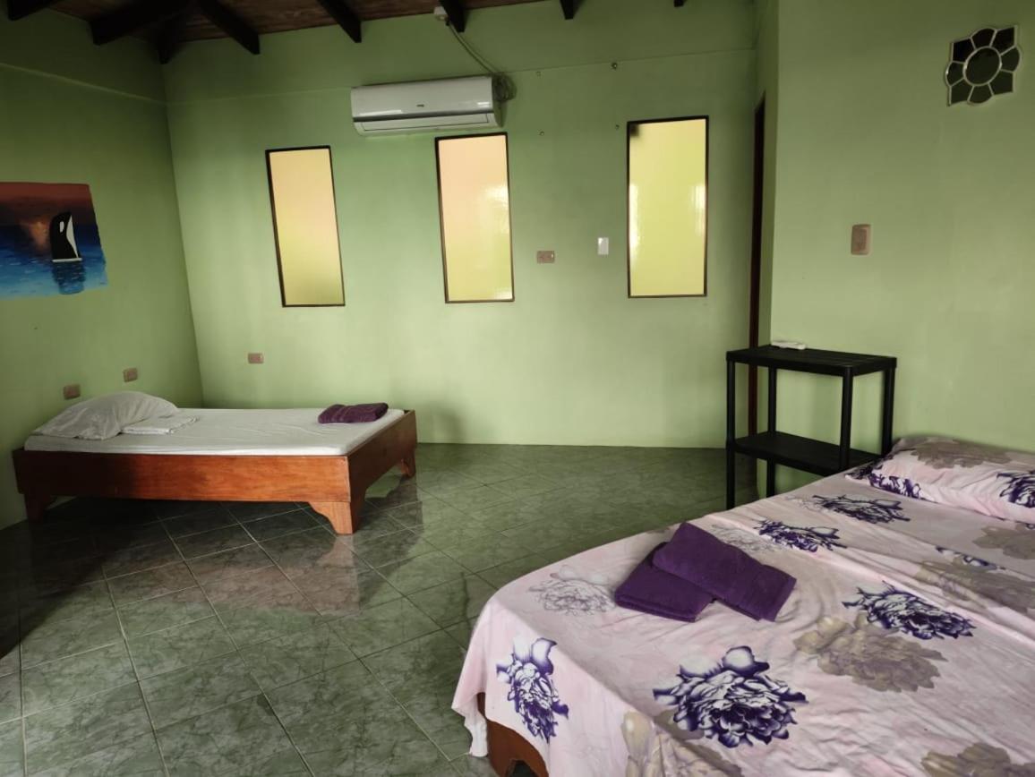 Ballena Paraíso Lodge