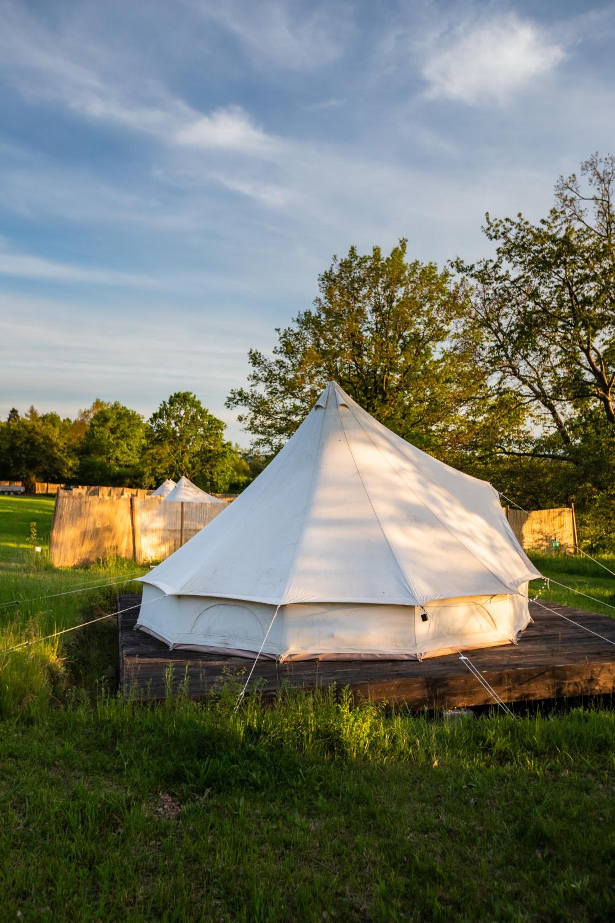 Glamping Hive