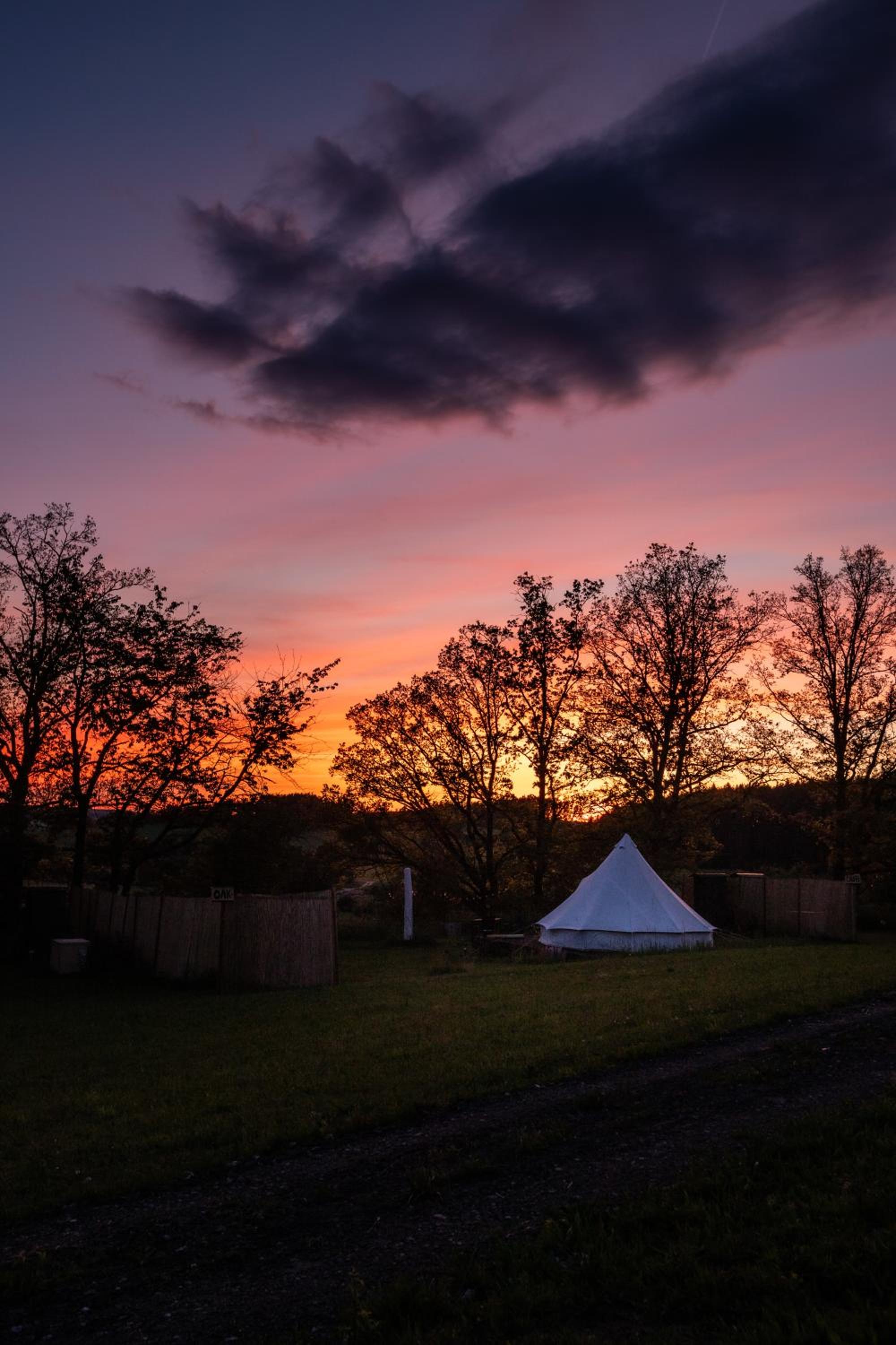 Glamping Hive