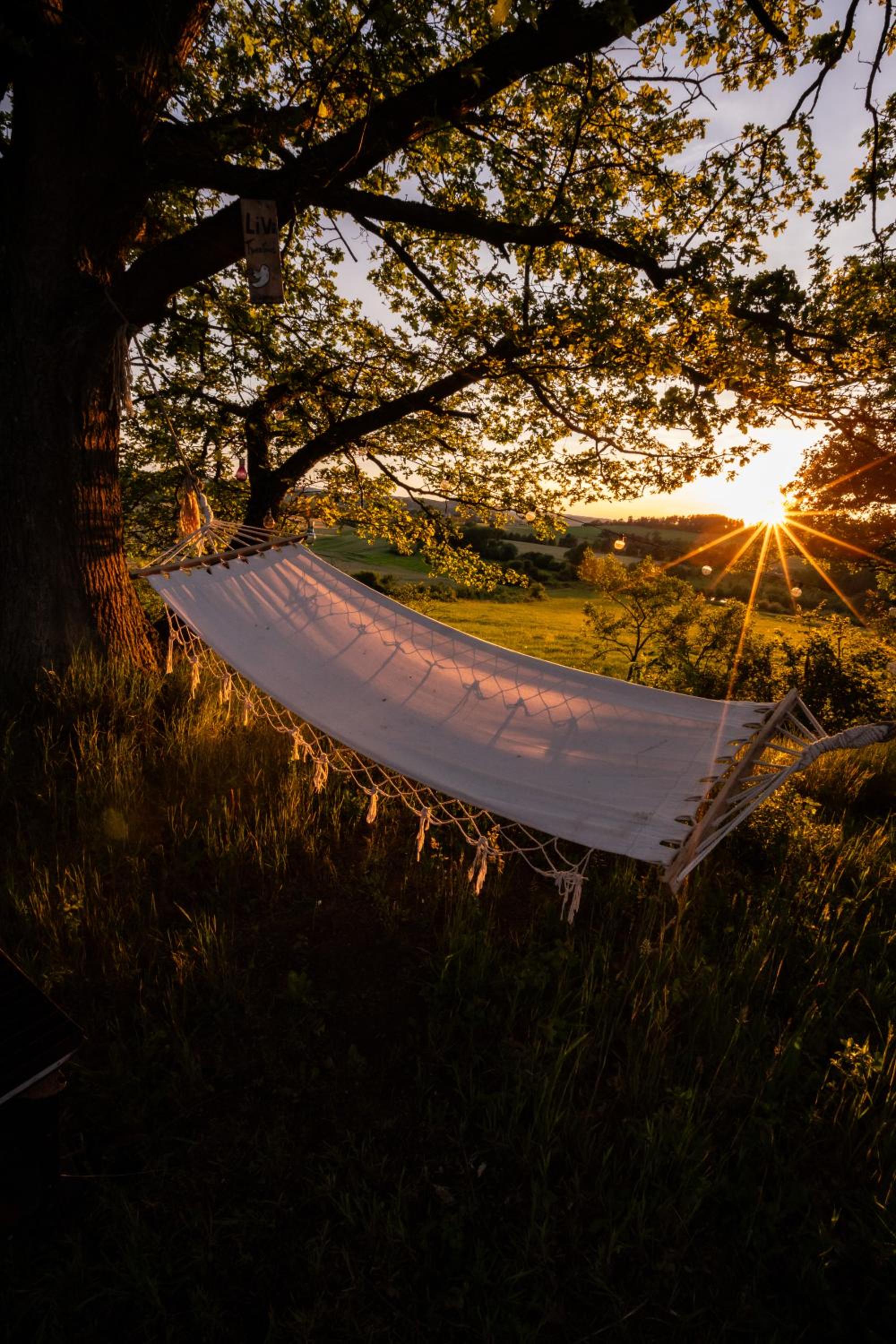 Glamping Hive