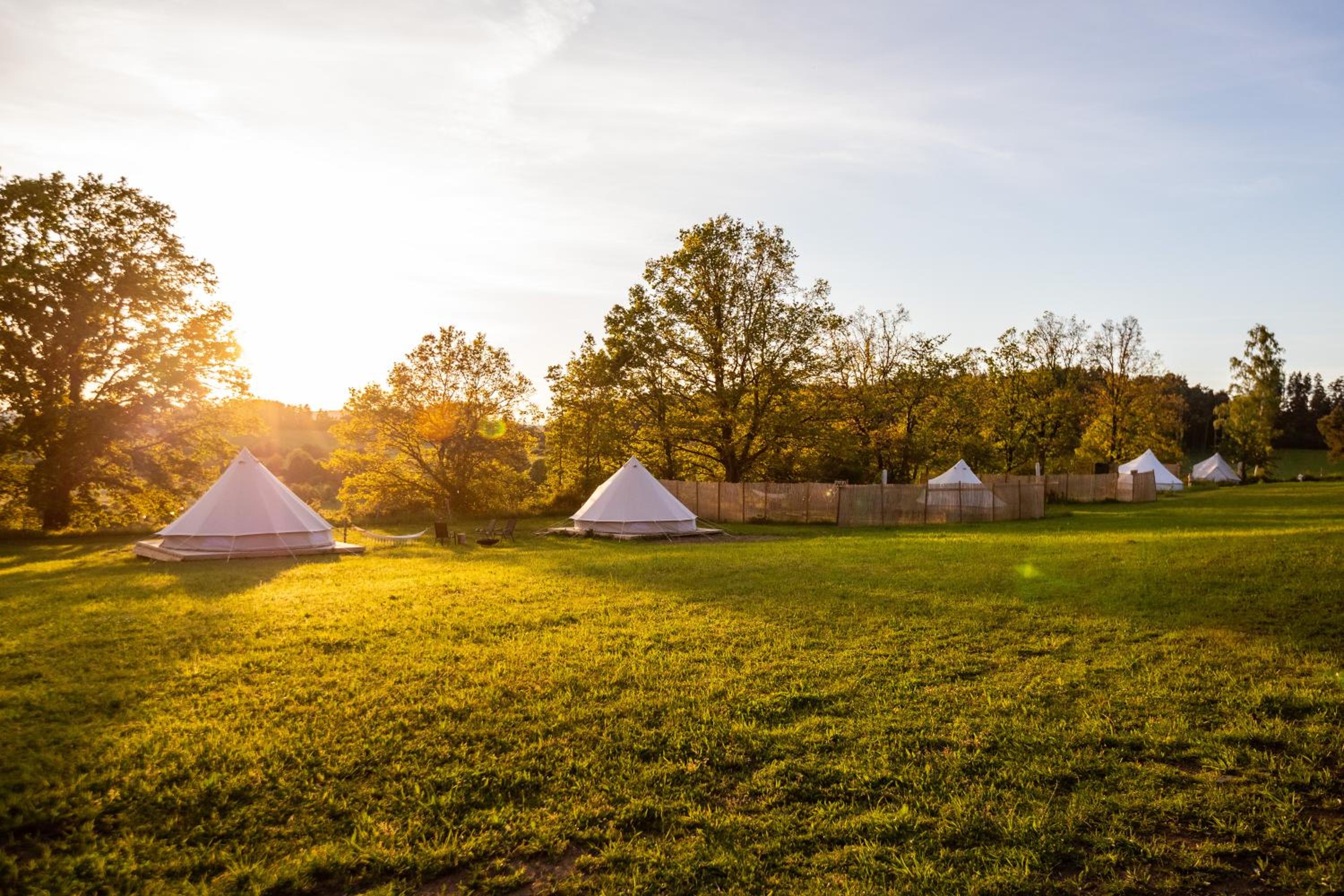 Glamping Hive