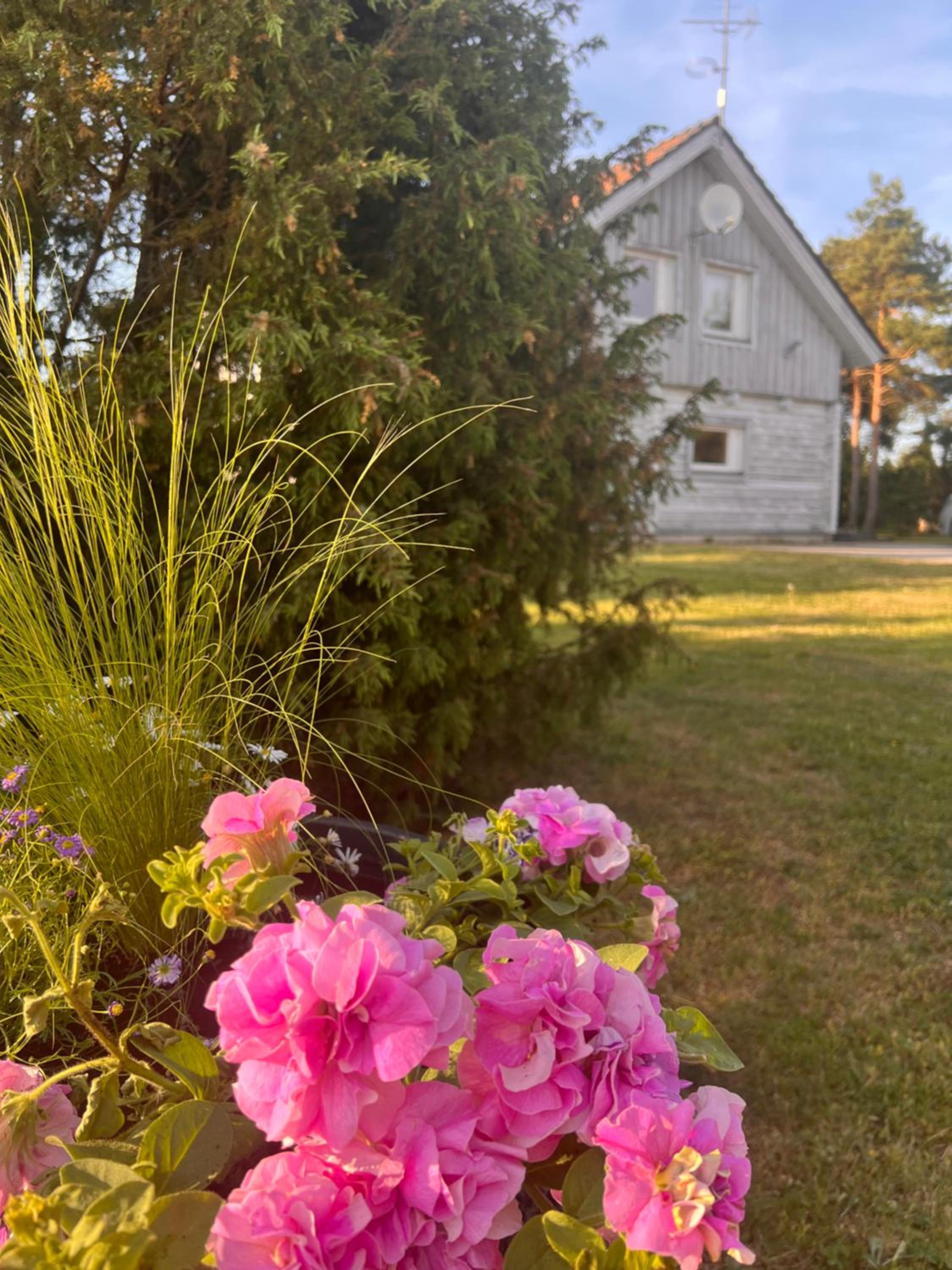 Saaremaa Puhkemaja