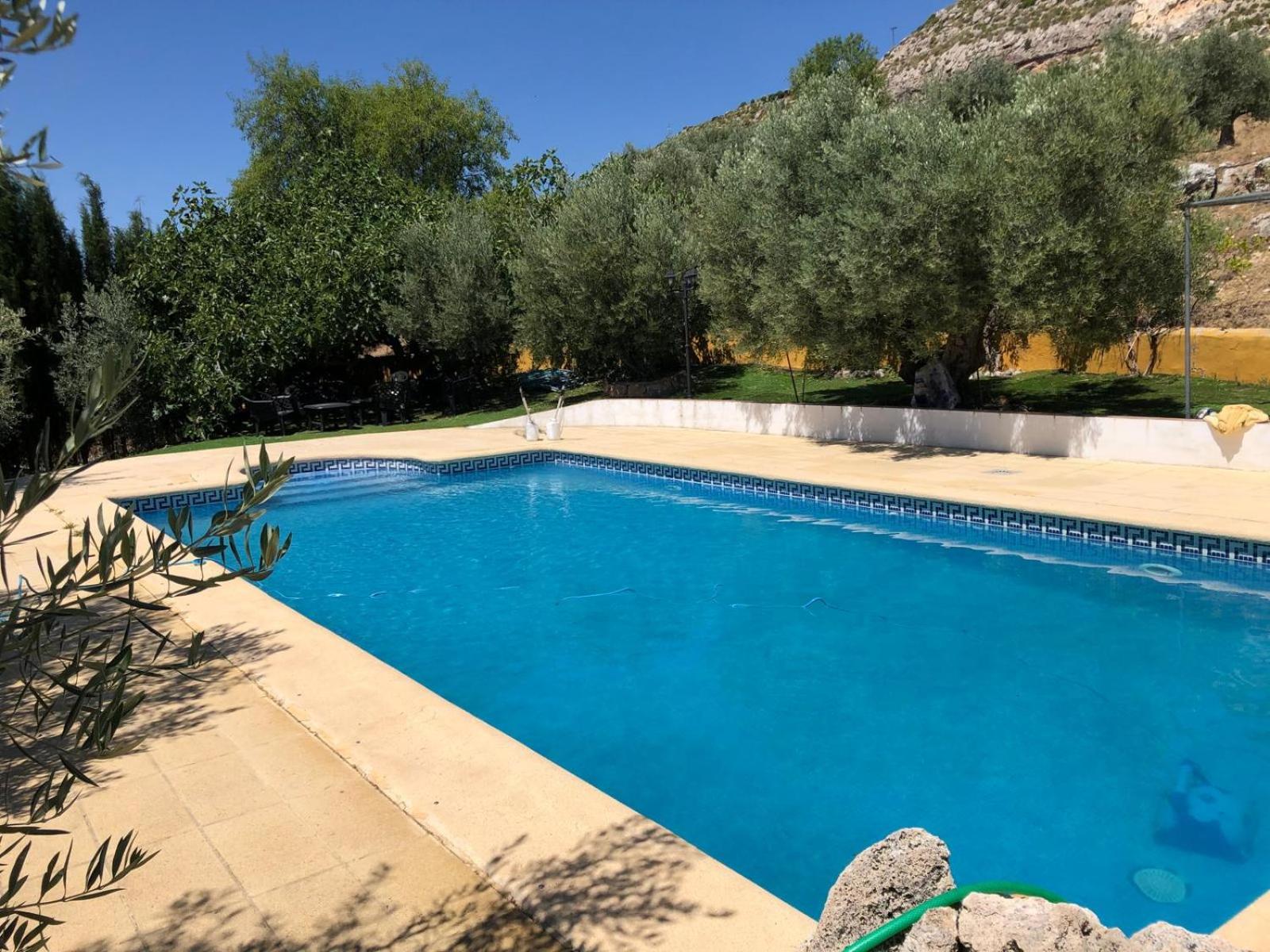 El Olivar de la Solana view 2