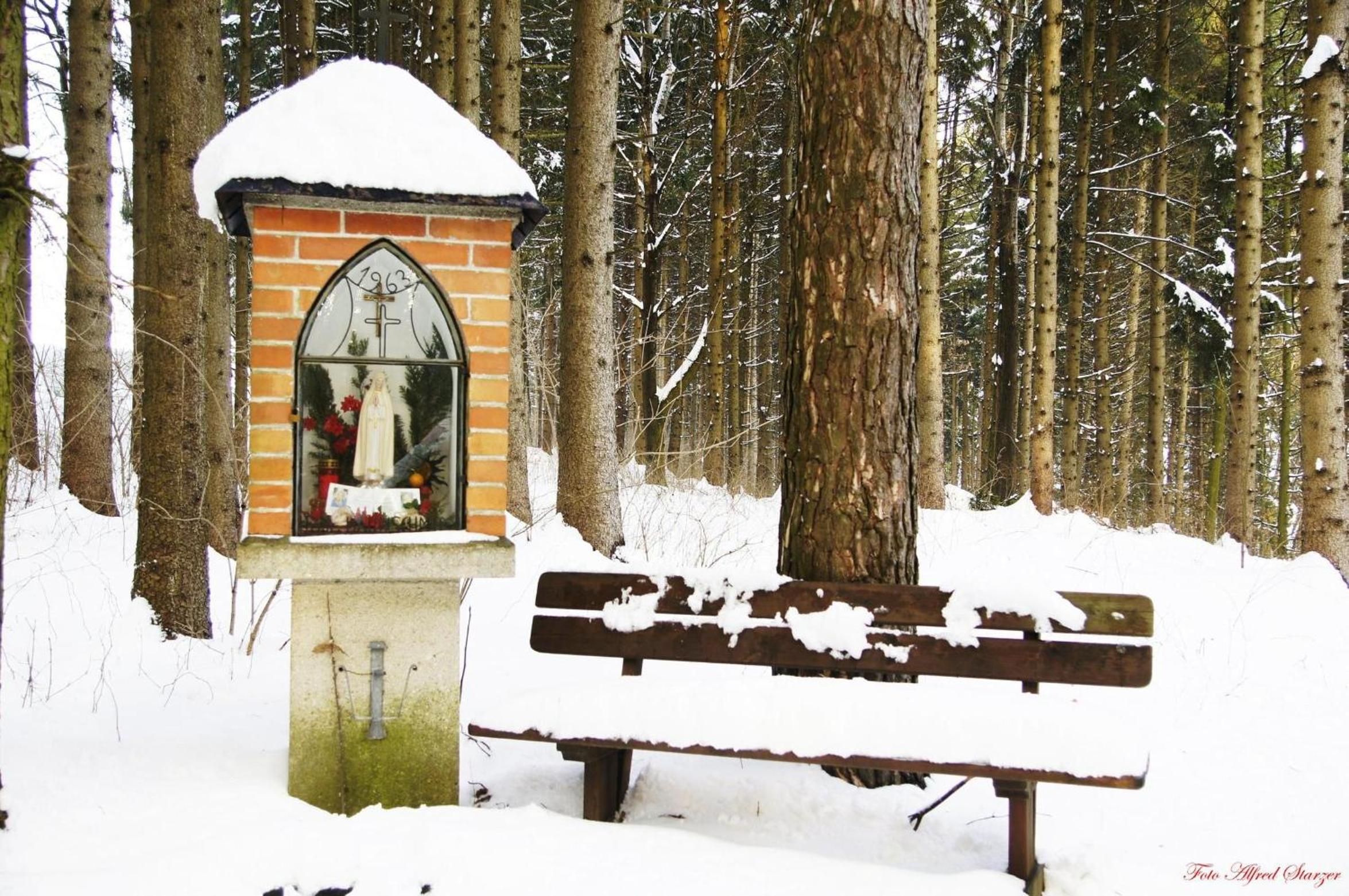 Bio-Bauernhof Haunschmid