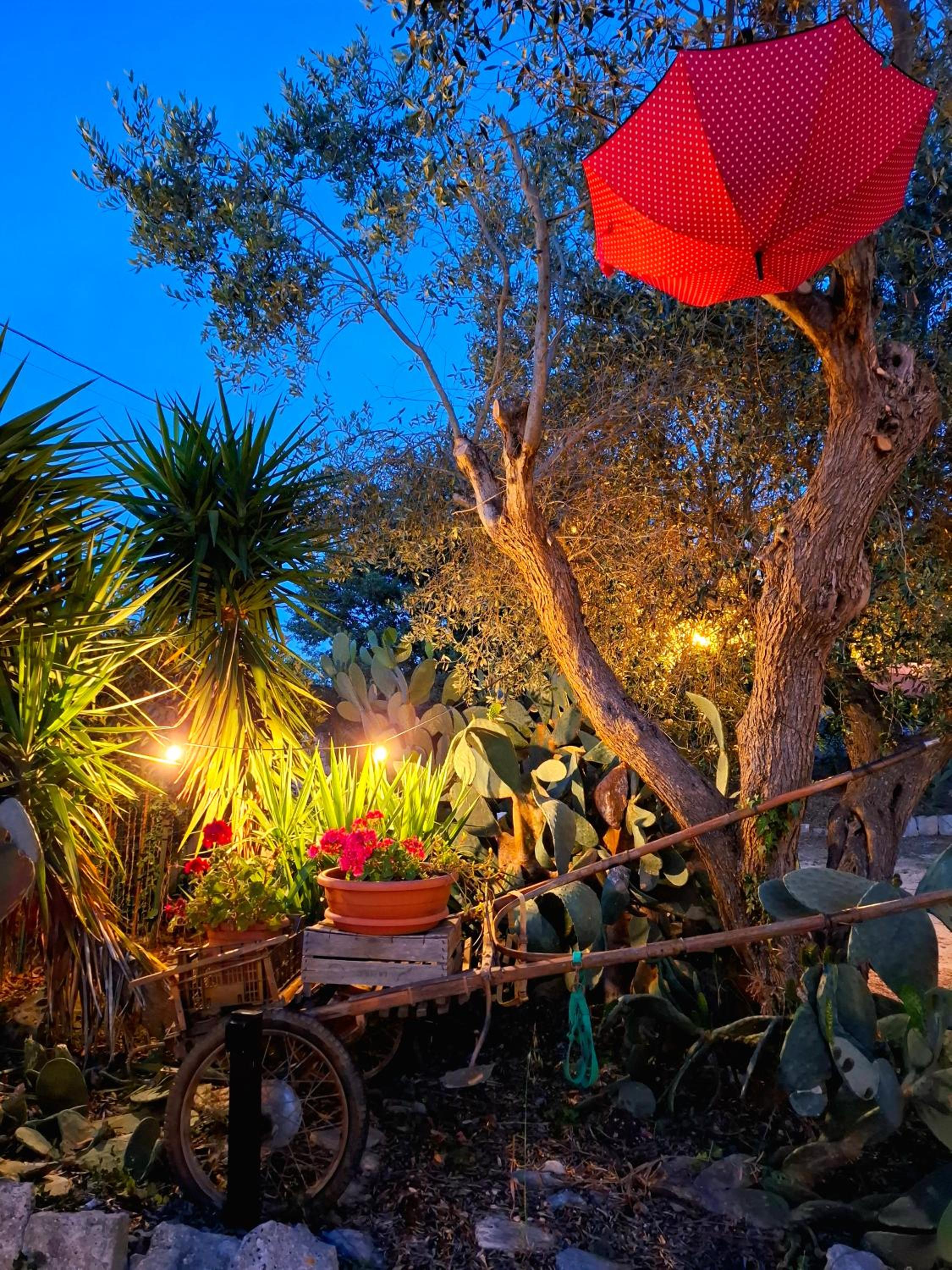 Mirella Charming photo 2