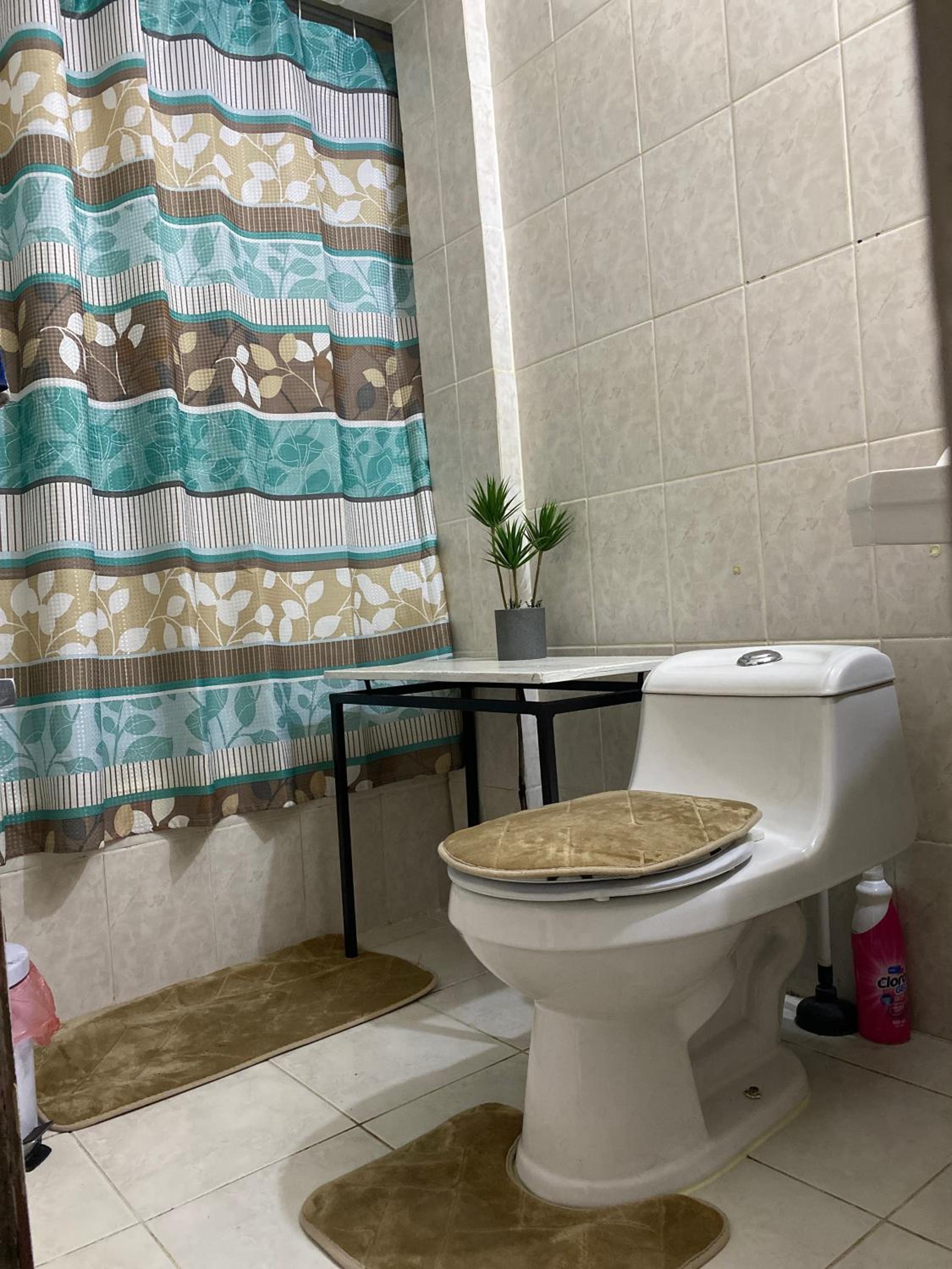 CASA ROMÁN Departamento en Providencia para 3 personas
