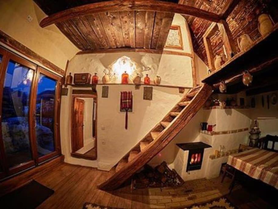 Photo 19