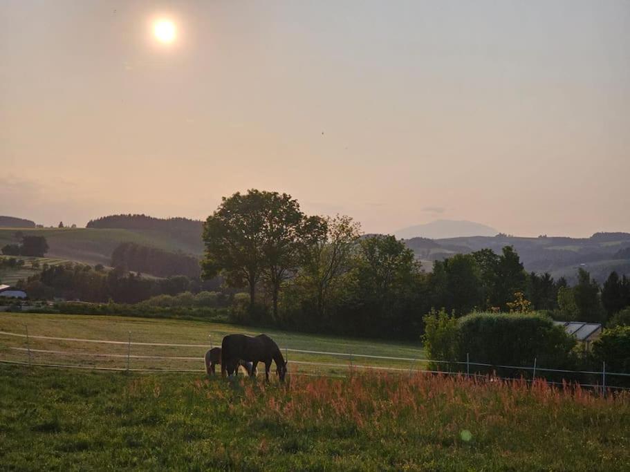 Wochenend Ferienhaus mit tollen Ausblick in die Bucklige Welt