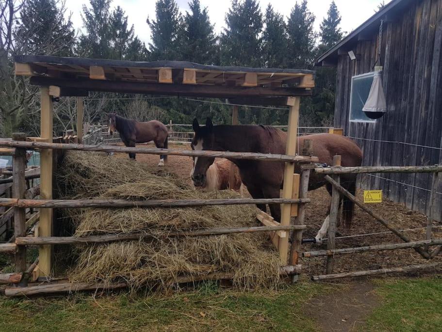 Wochenend Ferienhaus mit tollen Ausblick in die Bucklige Welt