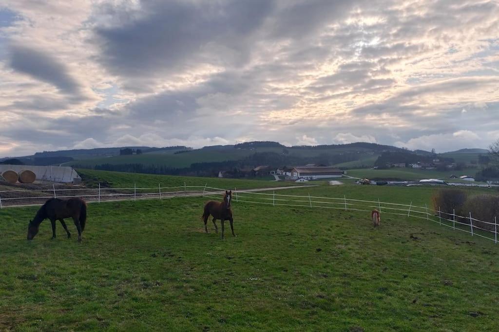 Wochenend Ferienhaus mit tollen Ausblick in die Bucklige Welt