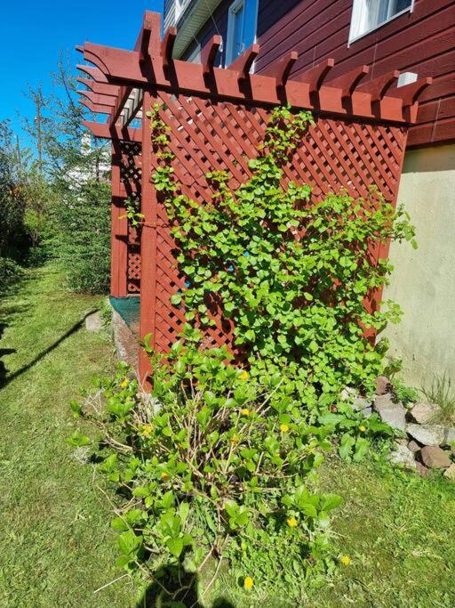 Appartement indépendant rez-de-chaussée