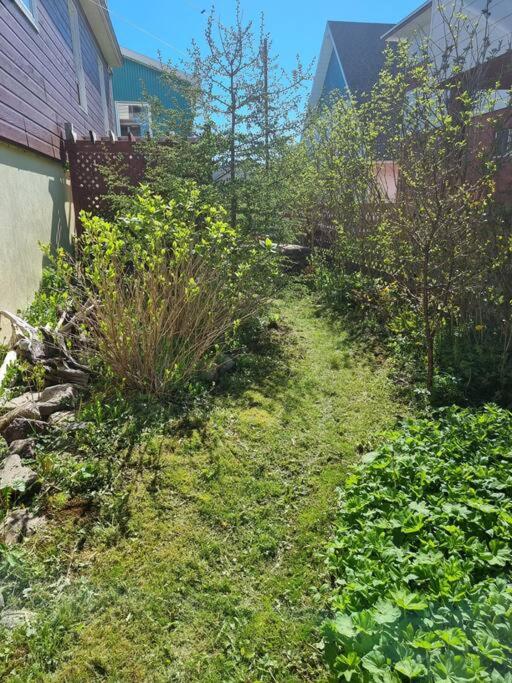 Appartement indépendant rez-de-chaussée