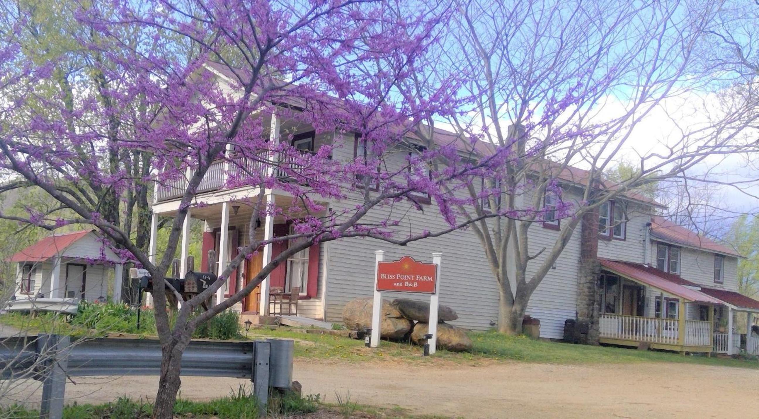 Bliss Point Farm