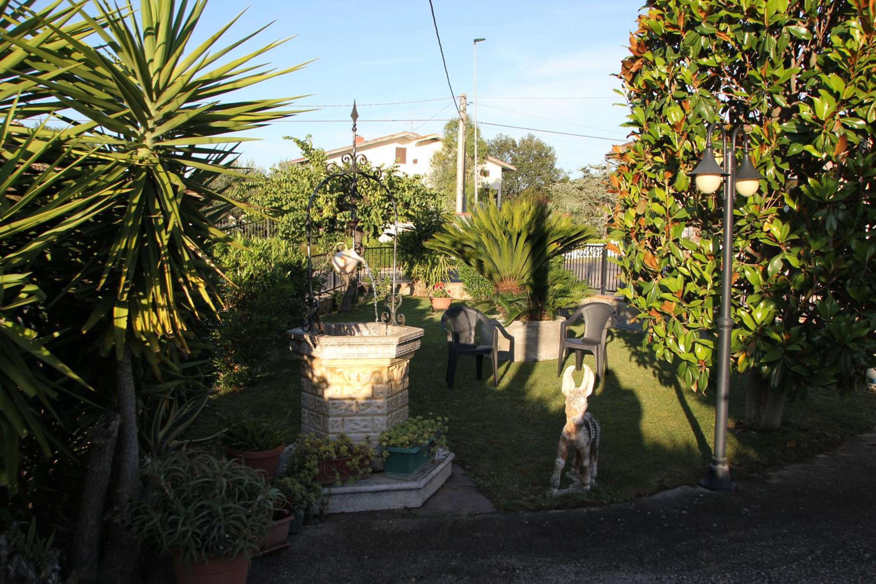 Photo 28