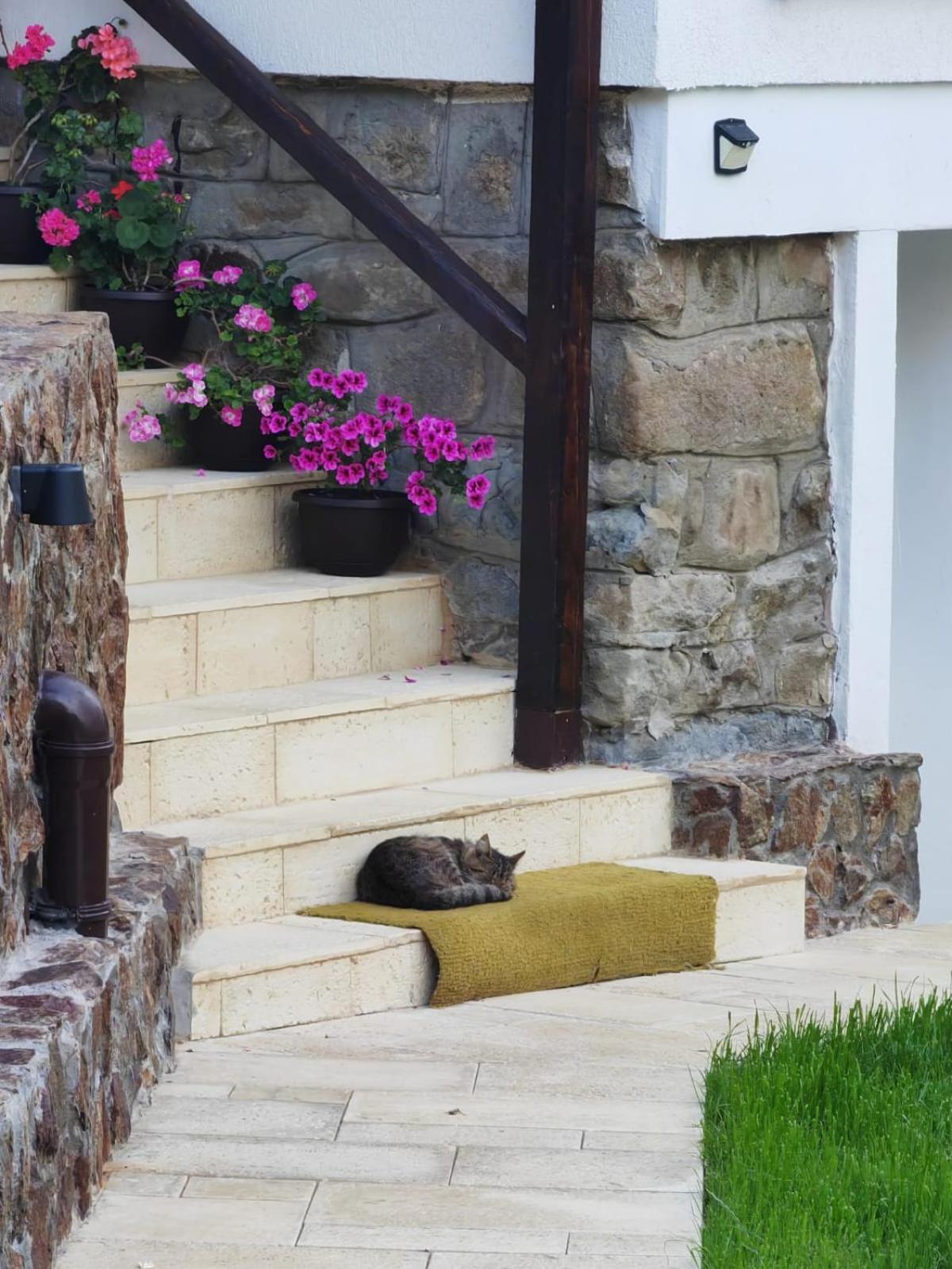 Casa Tihna