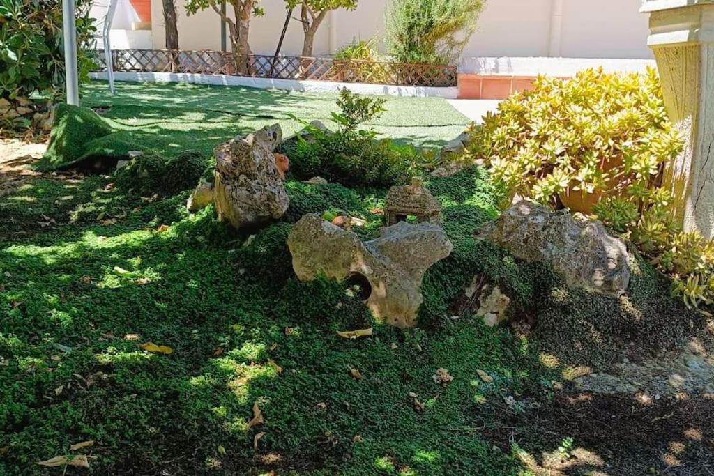 Photo 20