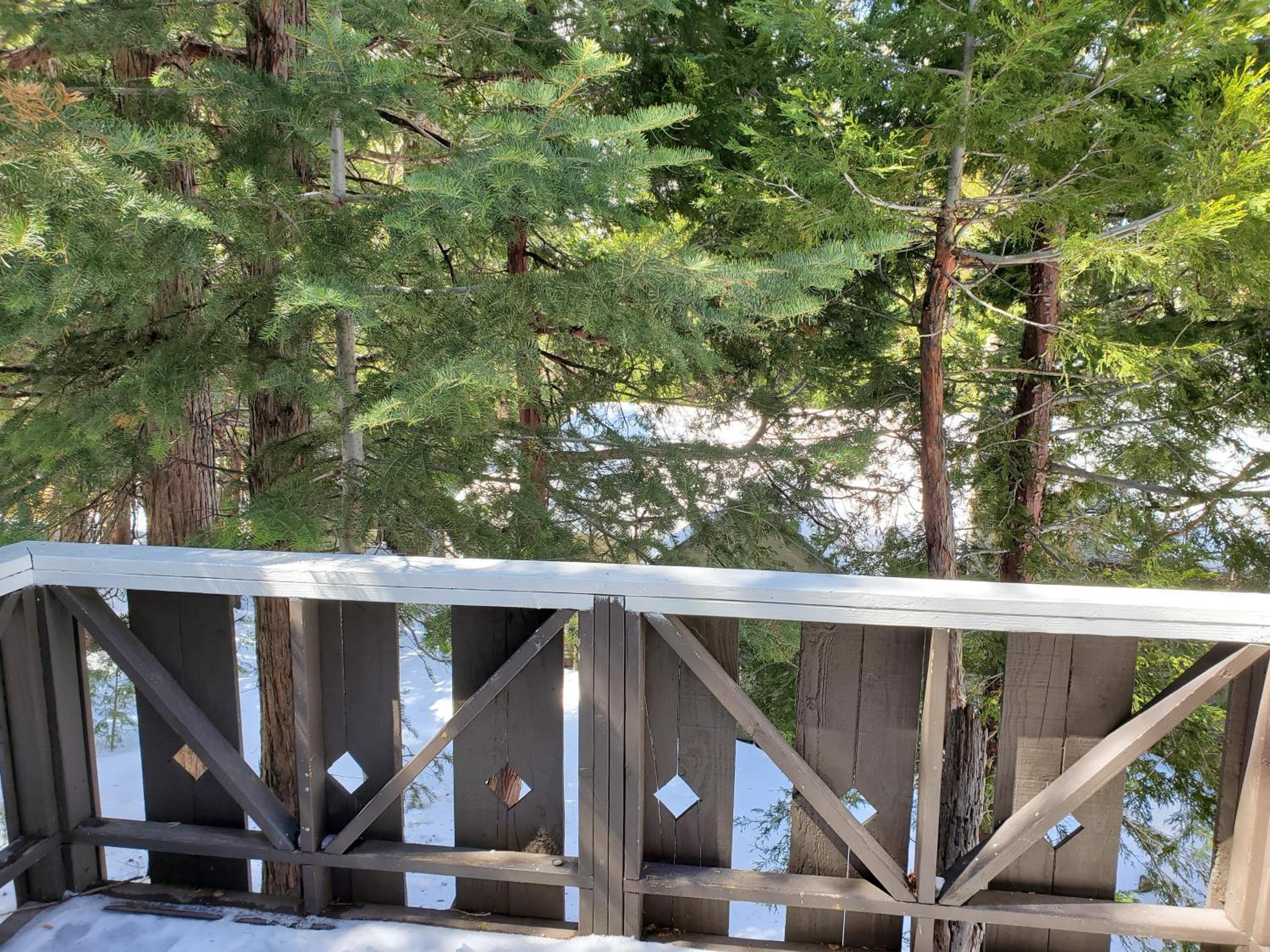 The Treetop Terrace at The Historic Arrowhead Lodge view 3
