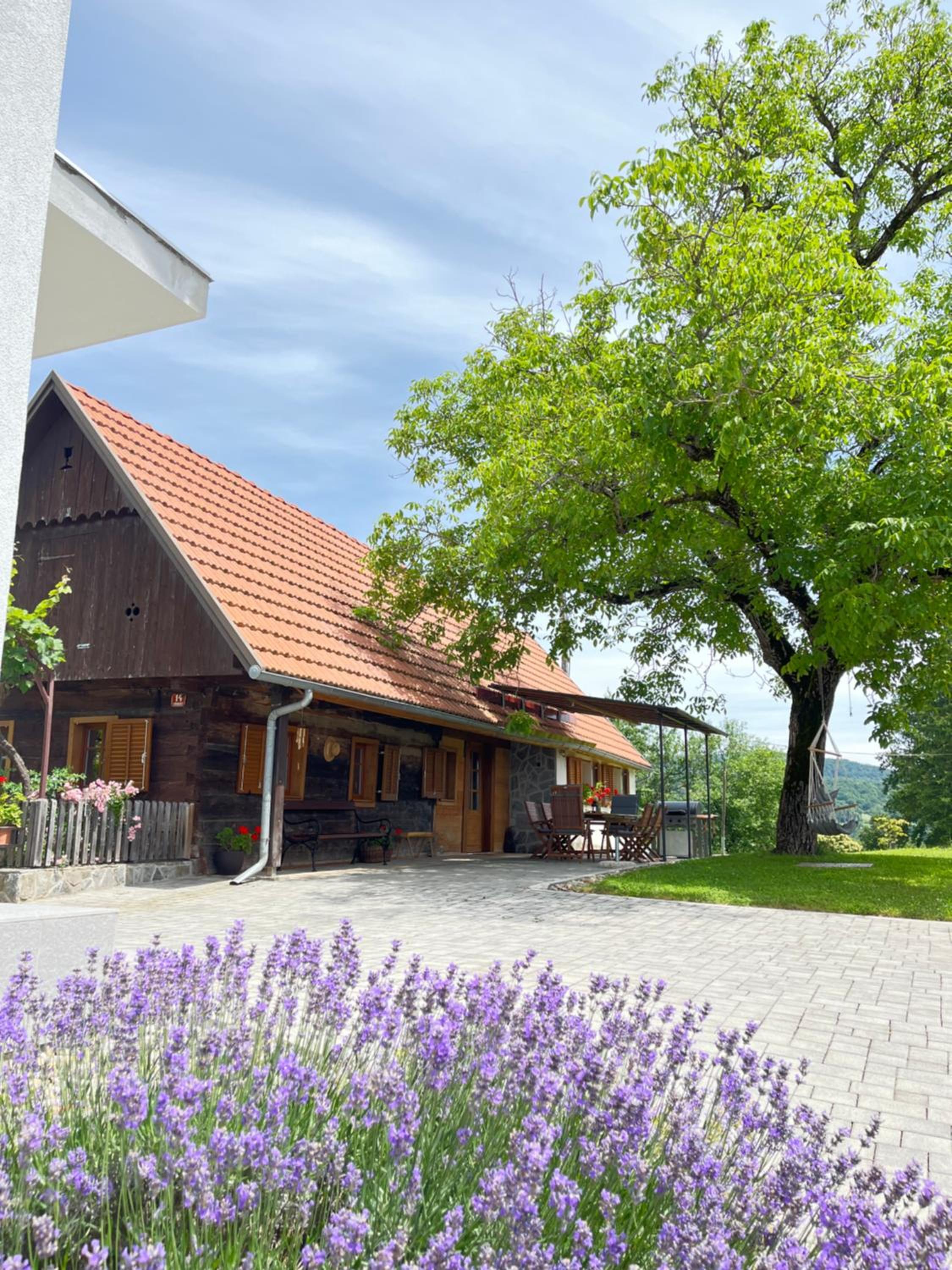 Domačija Brdar