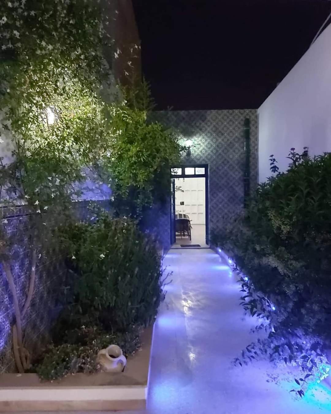 Dar El Goulli