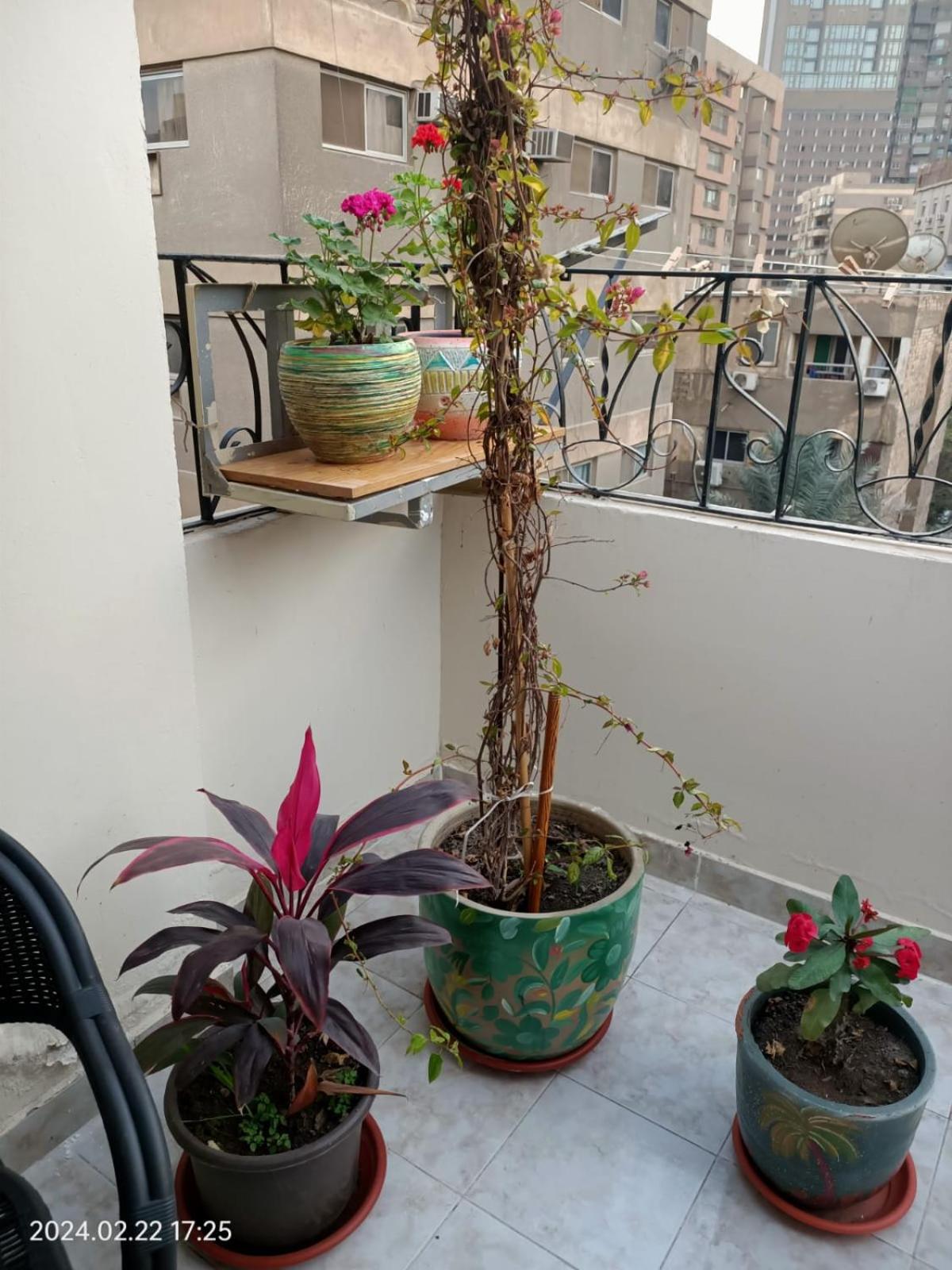Lovely & Calm Rooftop in Maadi 5 min from the Nile