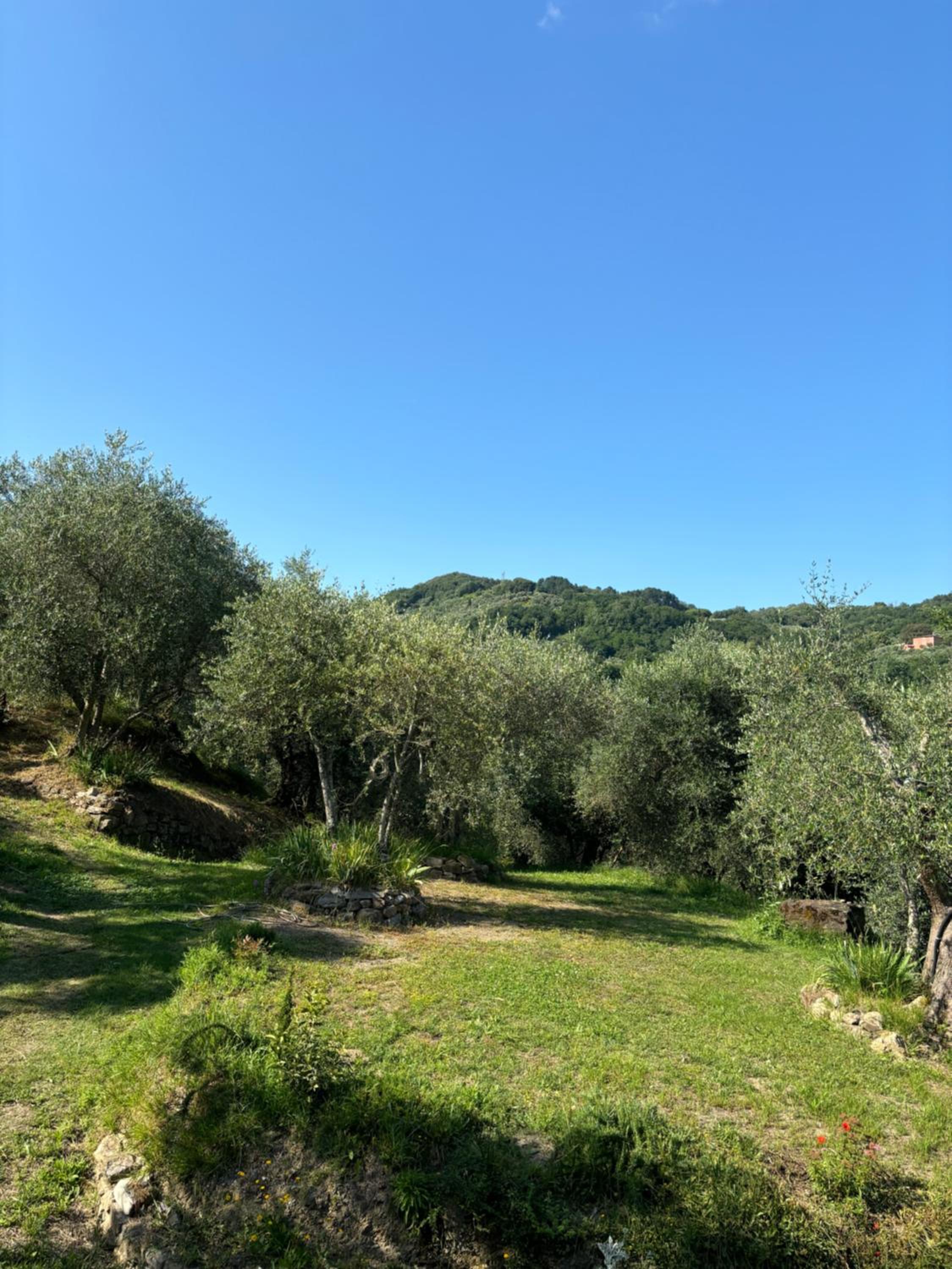 Le Capanne di Torre