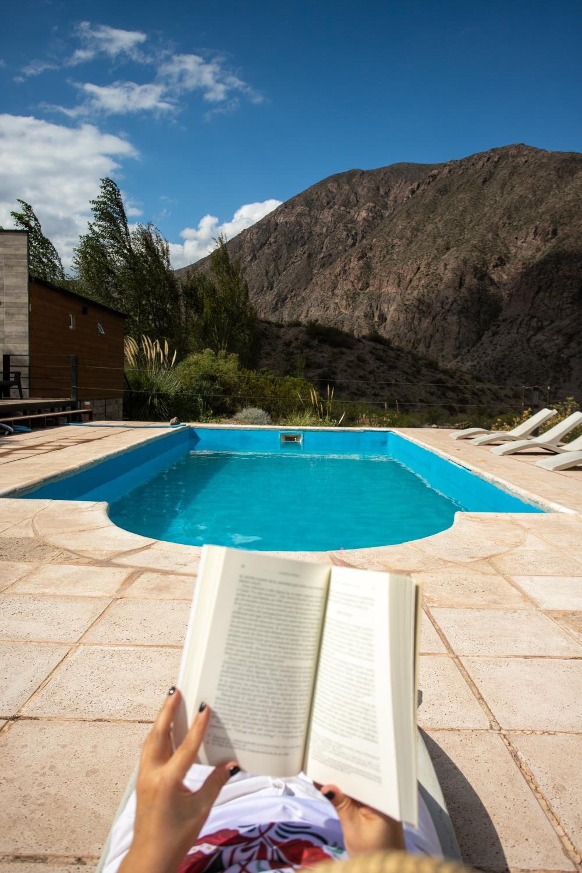 Viví Potrerillos