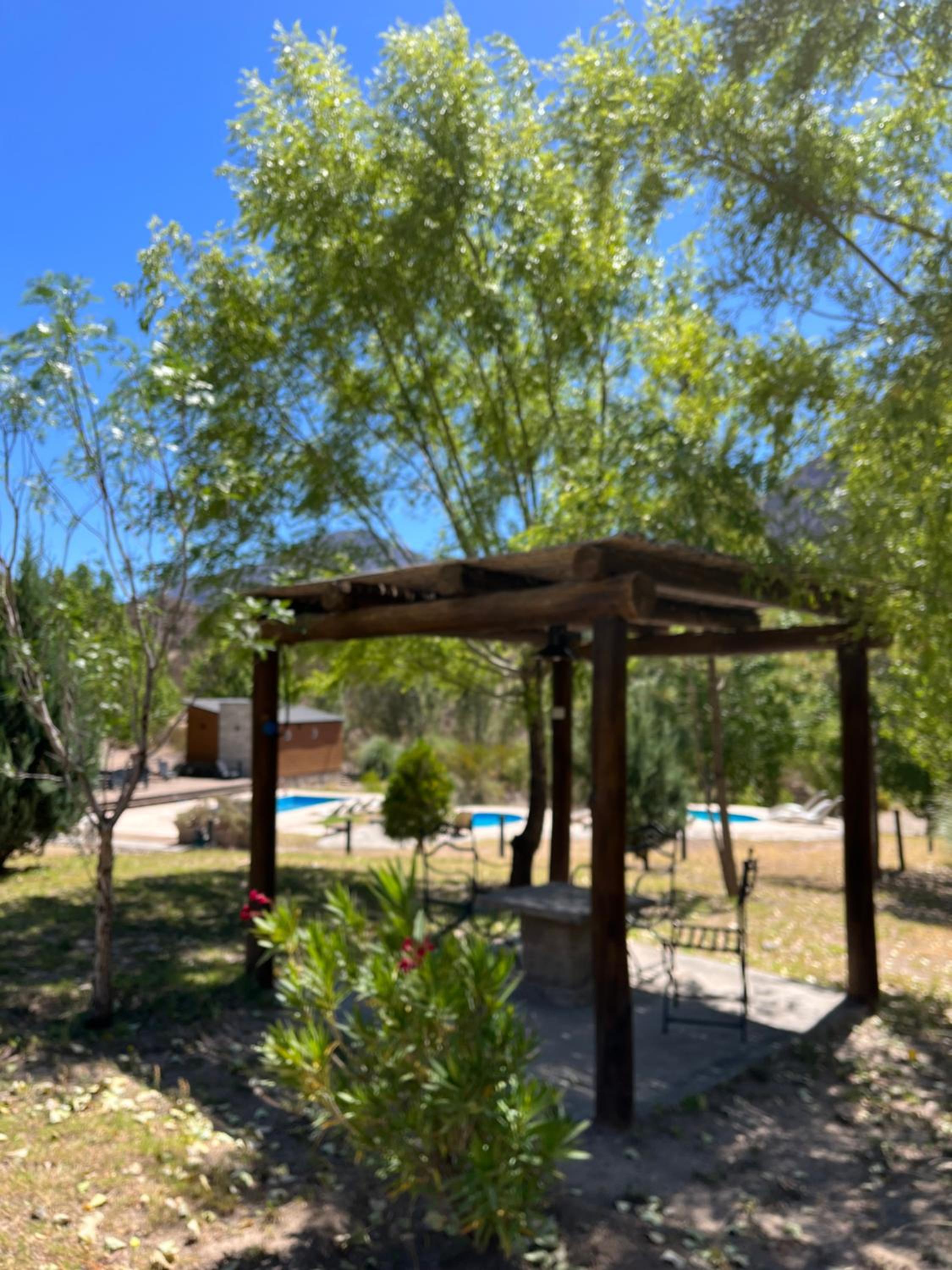 Viví Potrerillos