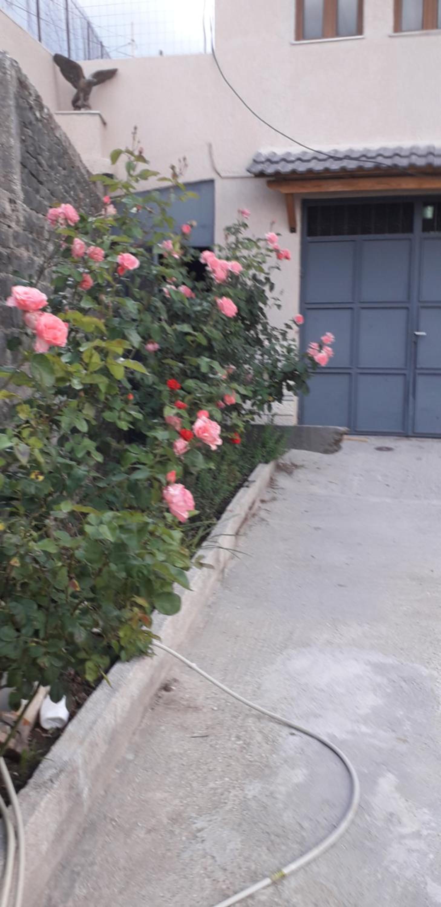 SHENA Guest House