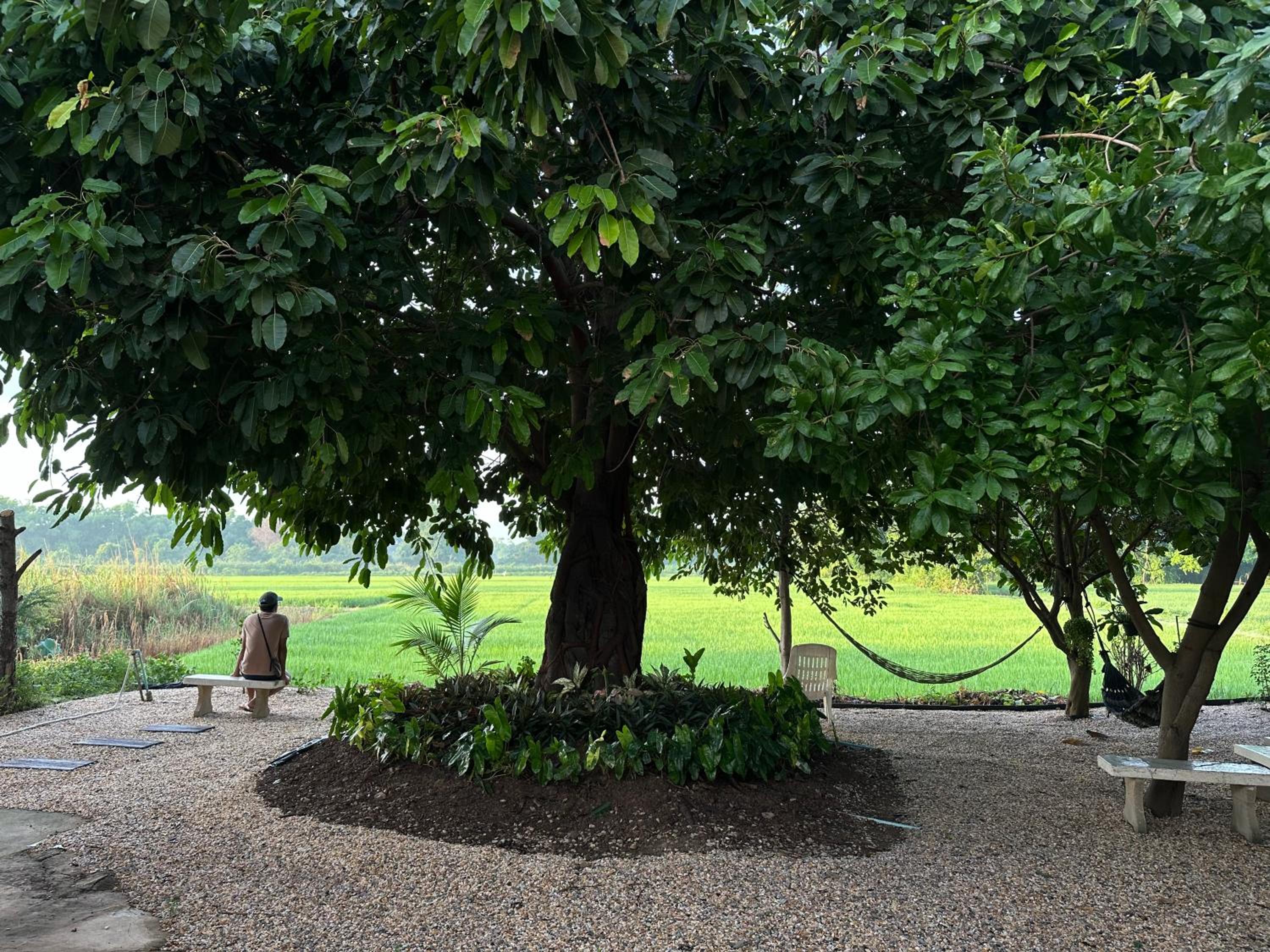 Ban Suweena view 2