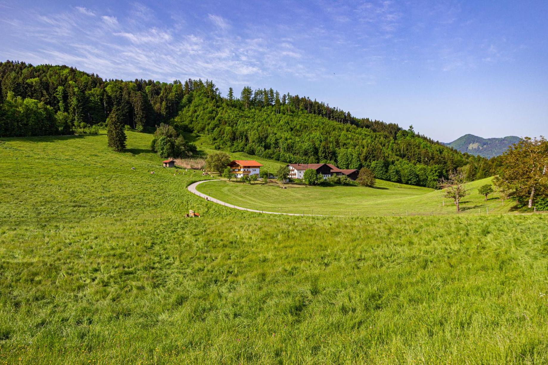 Wieserhof