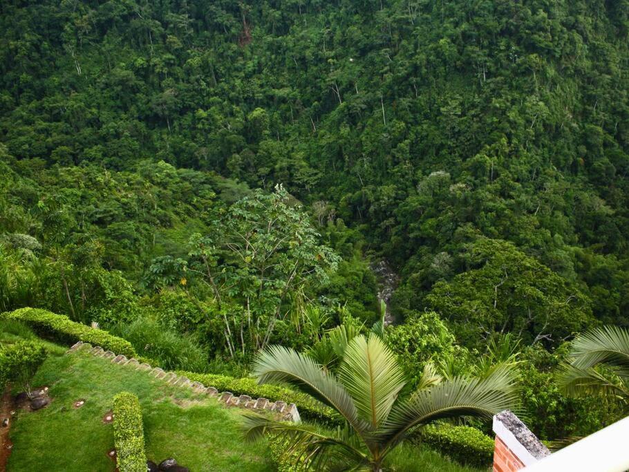 Ven y disfruta de la naturaleza