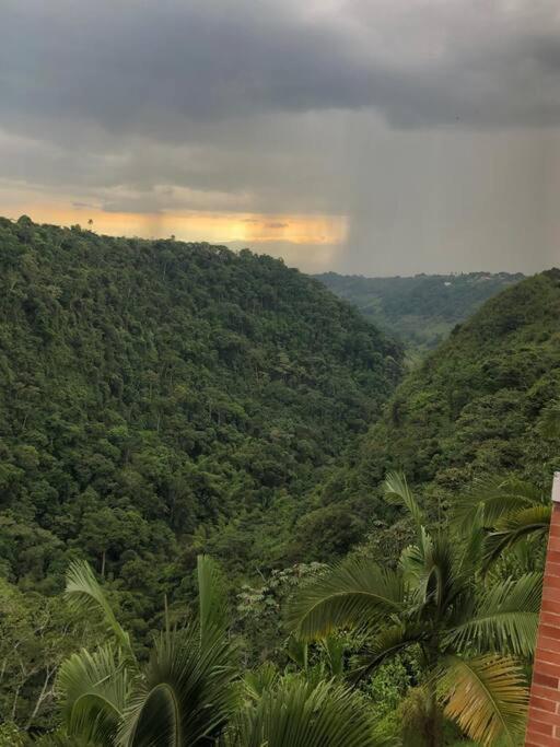 Ven y disfruta de la naturaleza