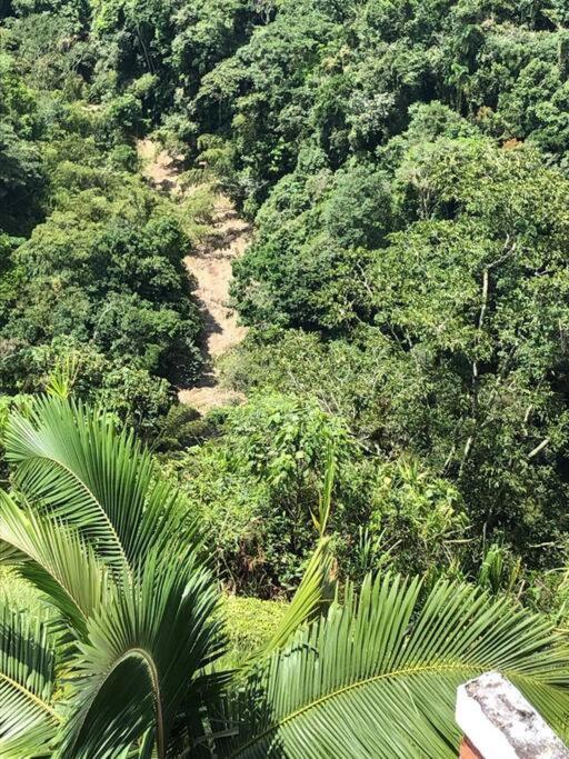 Ven y disfruta de la naturaleza