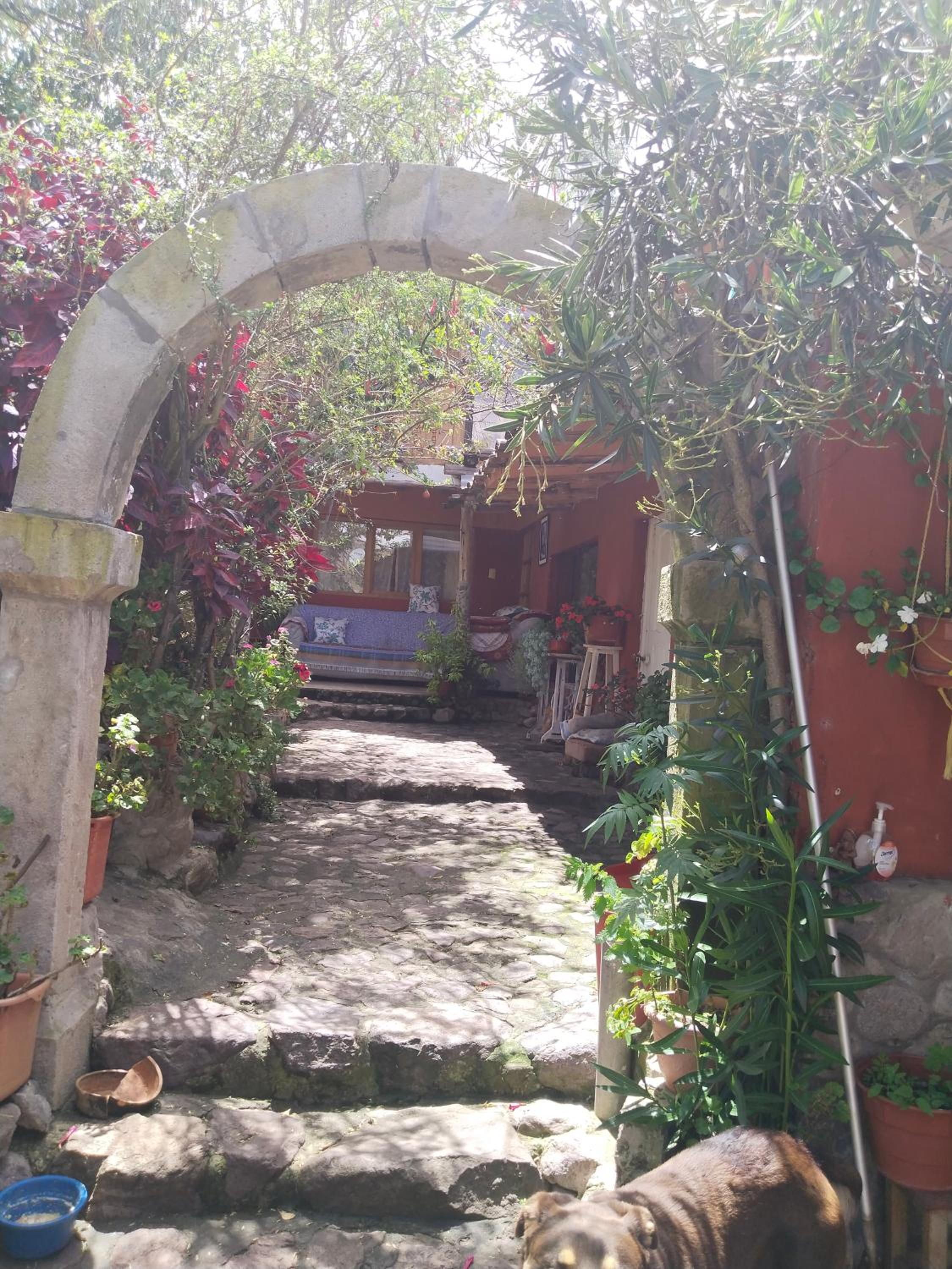 Photo 6