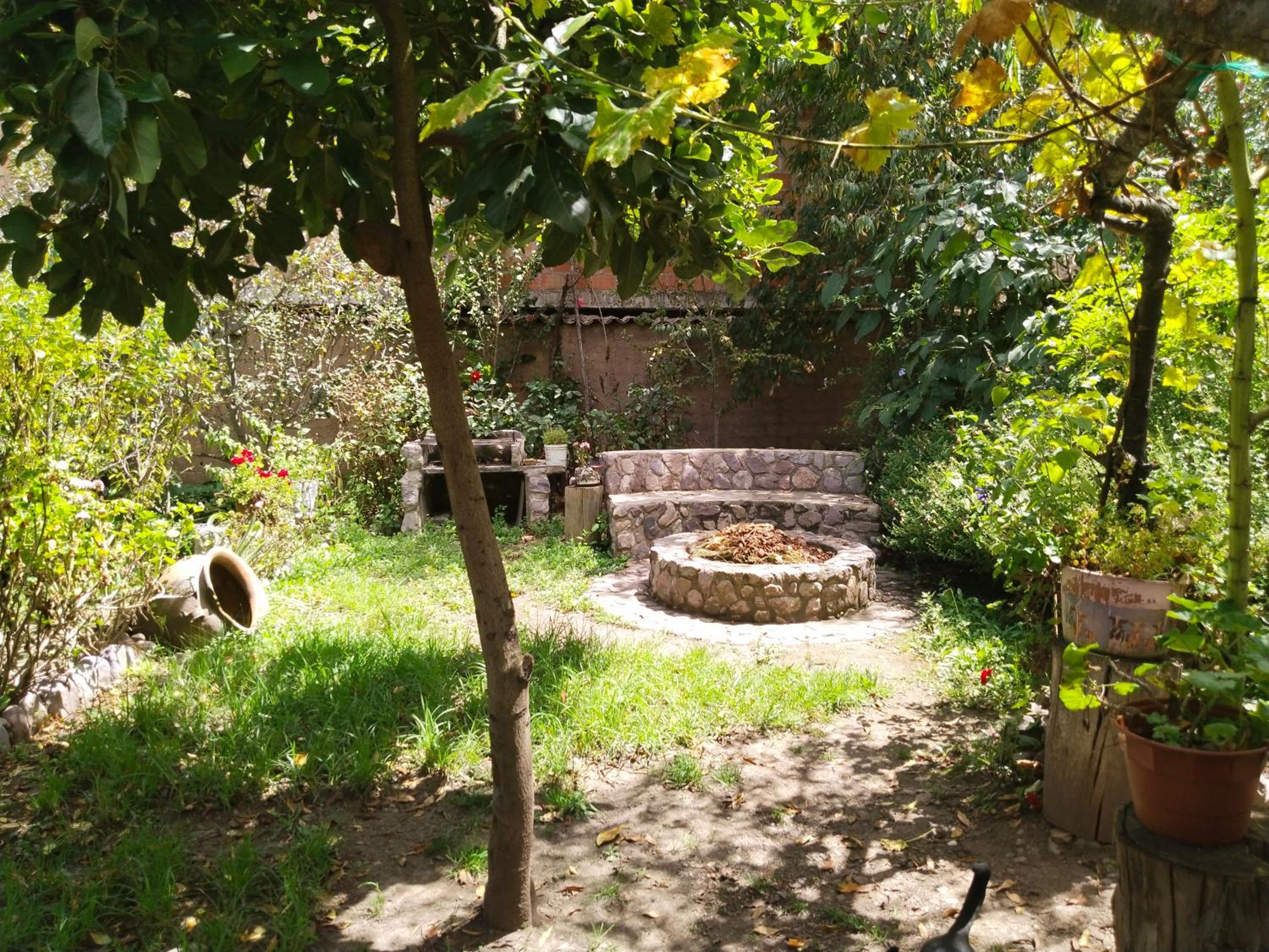 Photo 7