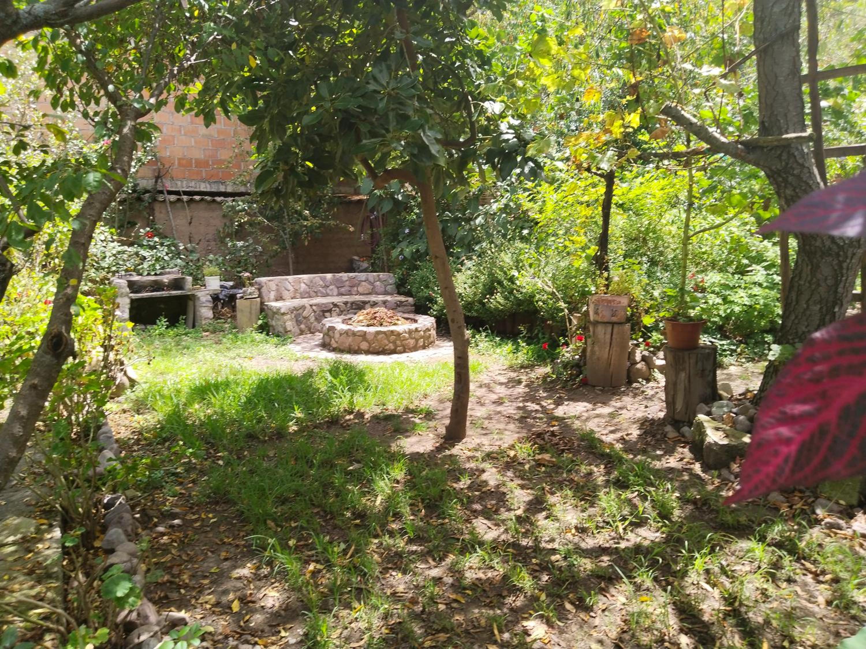 Photo 22