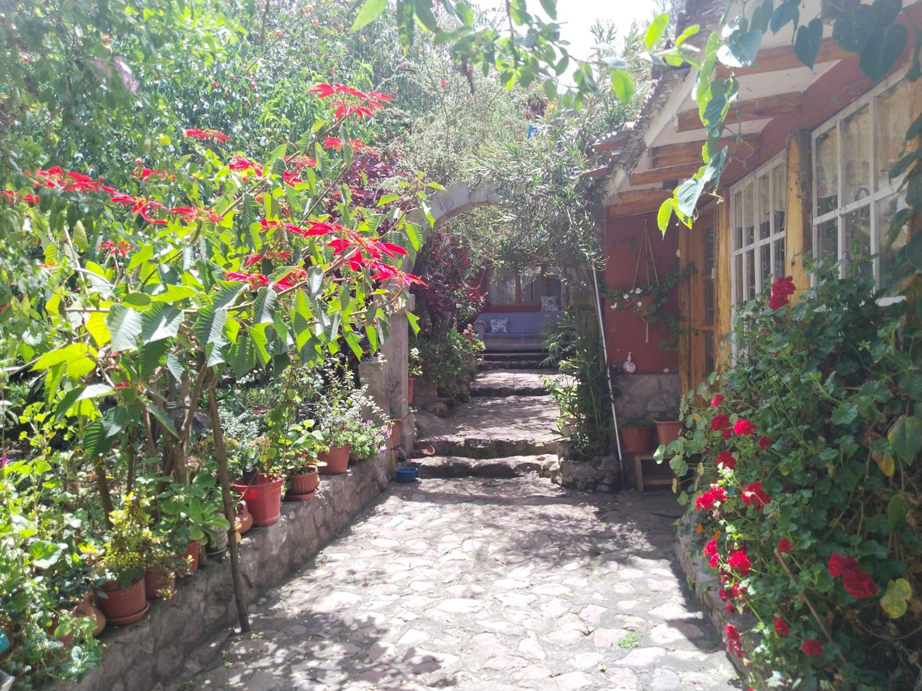 Photo 20