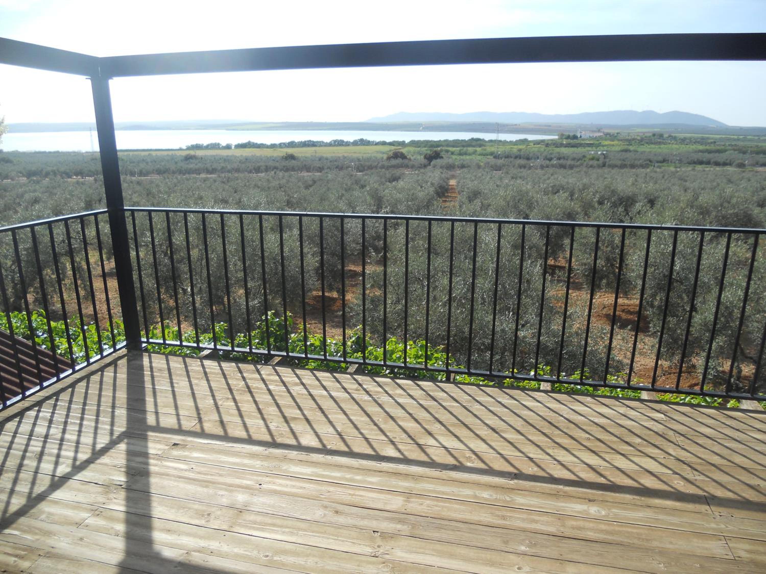 Camping Fuente de Piedra