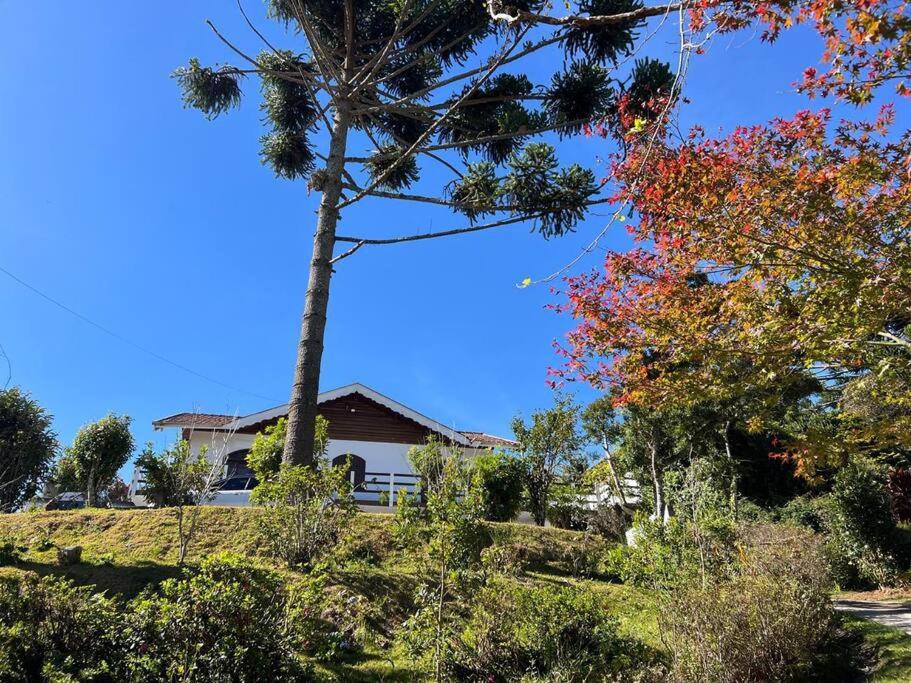 Casa da vovó em Campos do Jordão