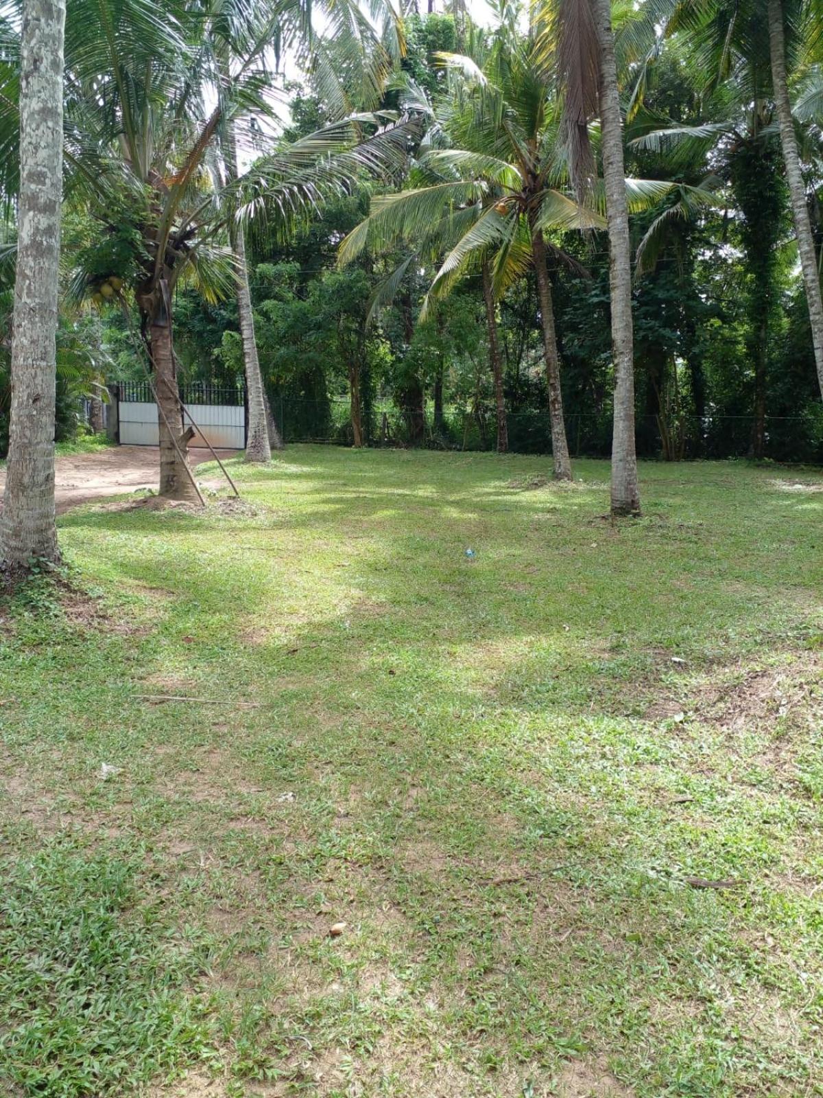 Photo 43