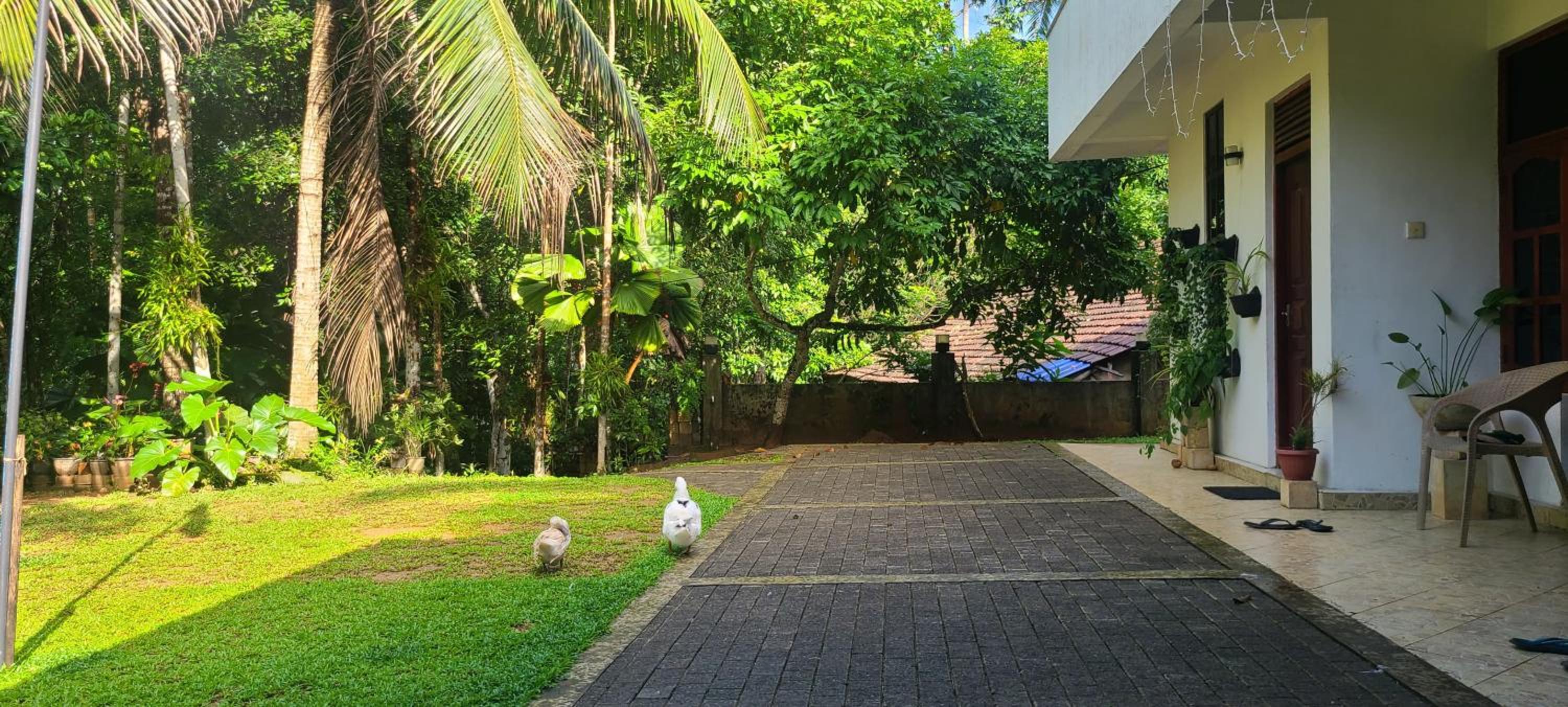 'Kolamba Gedara' green apartment