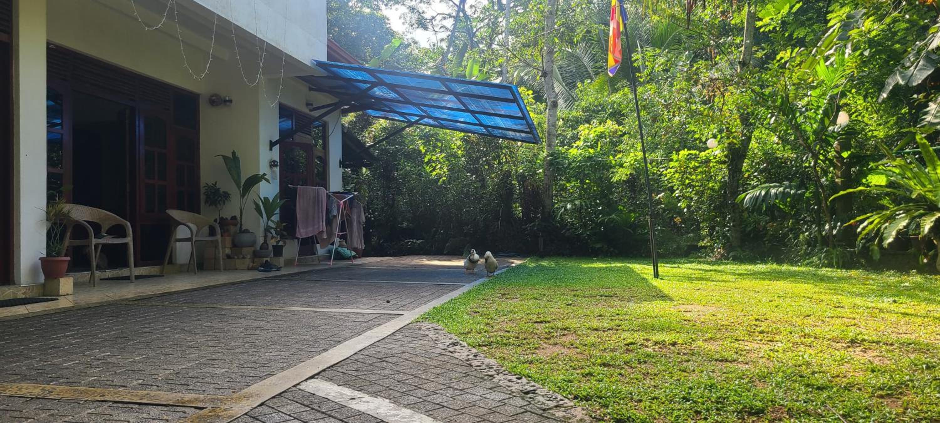'Kolamba Gedara' green apartment