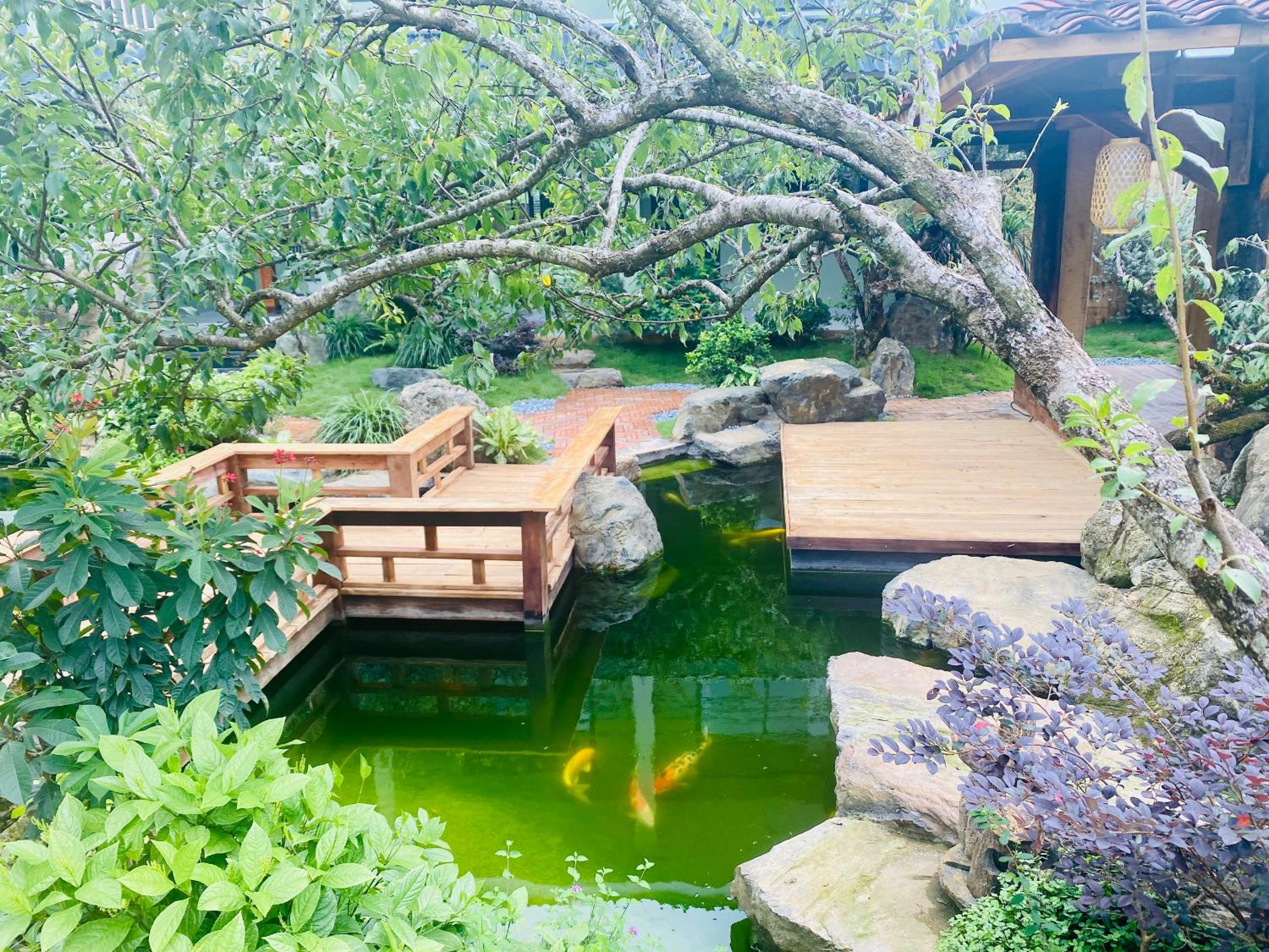 Châu homestay - Mộc Châu , Sơn La view 4