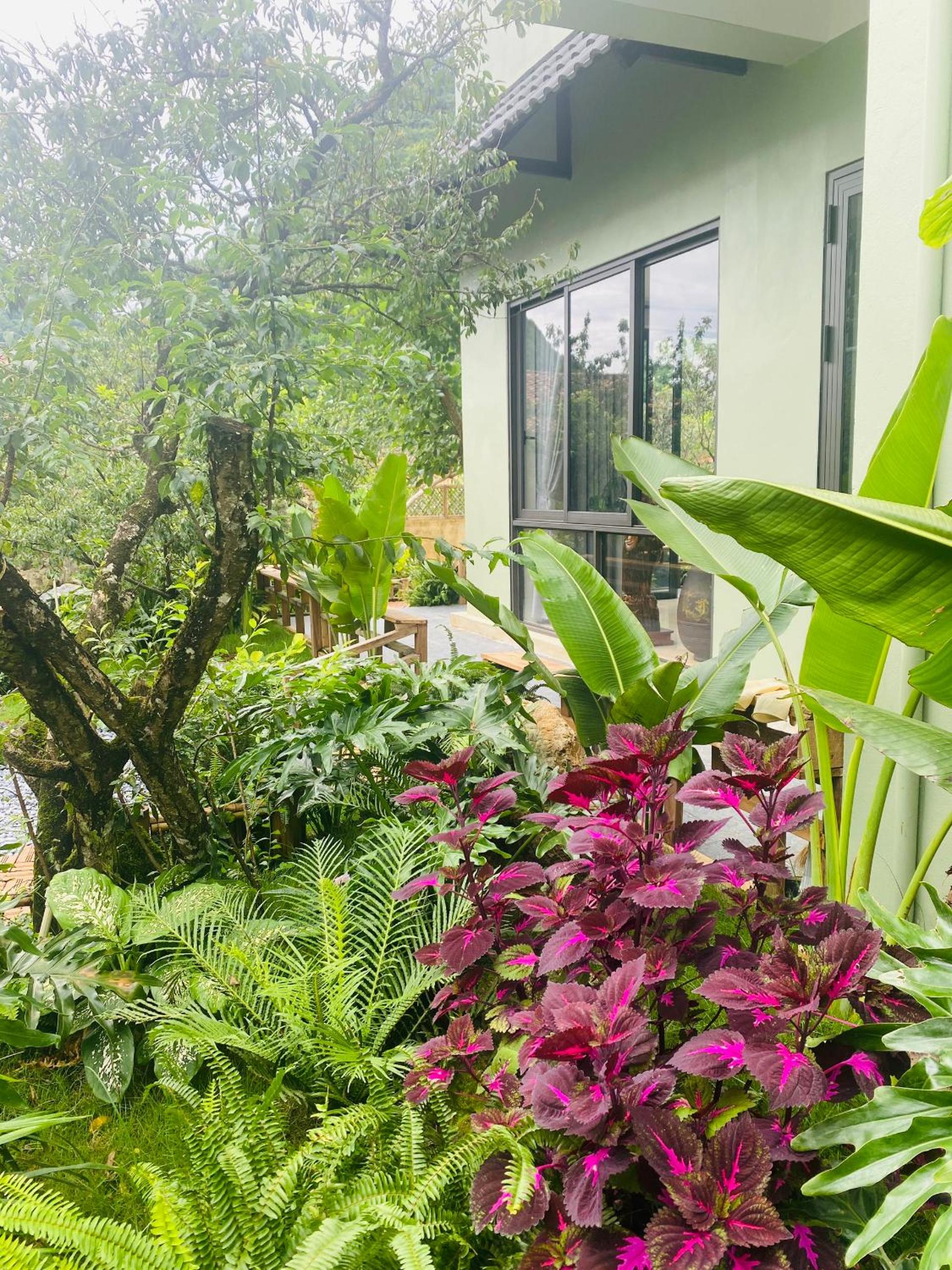 Châu homestay - Mộc Châu , Sơn La view 3