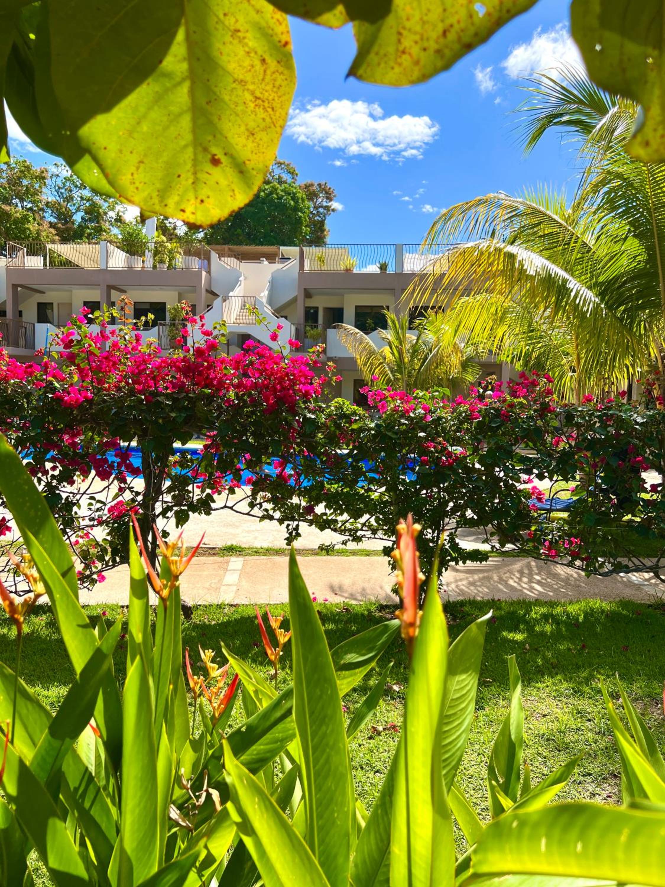 Sandy Shore Two bedroom condo across beach