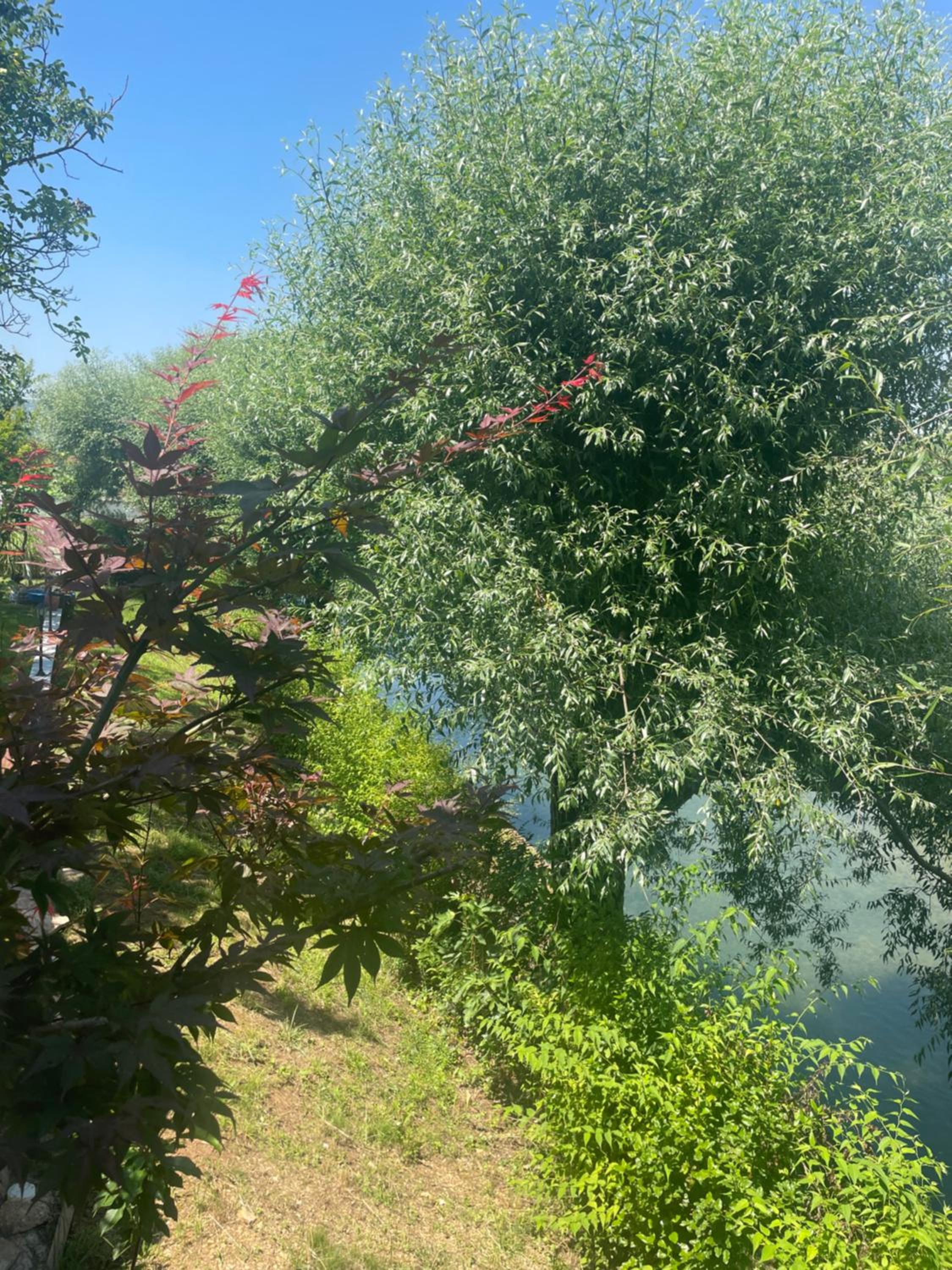 Kuca Magnolia Blagaj