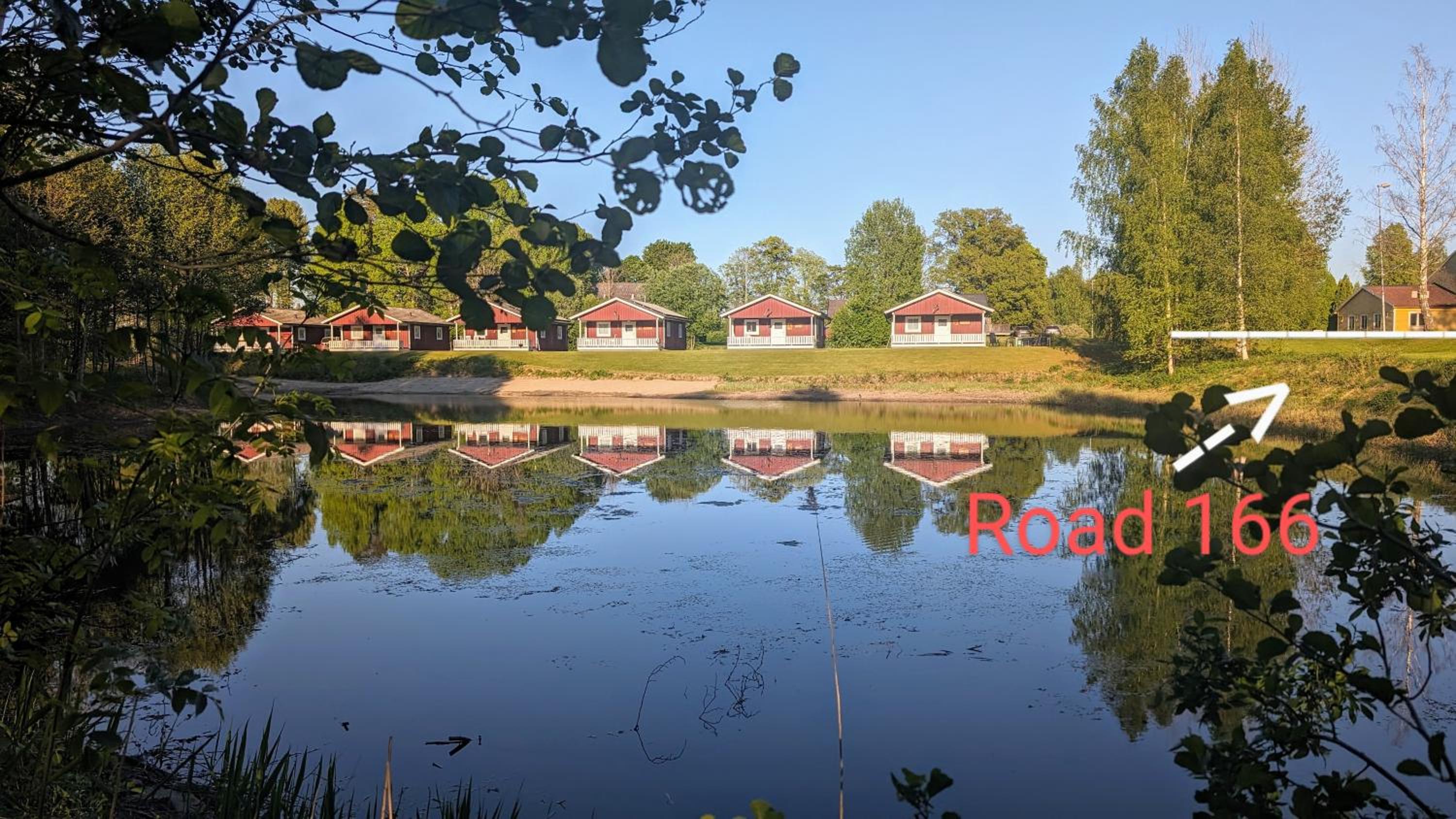 Gammal björn view 3