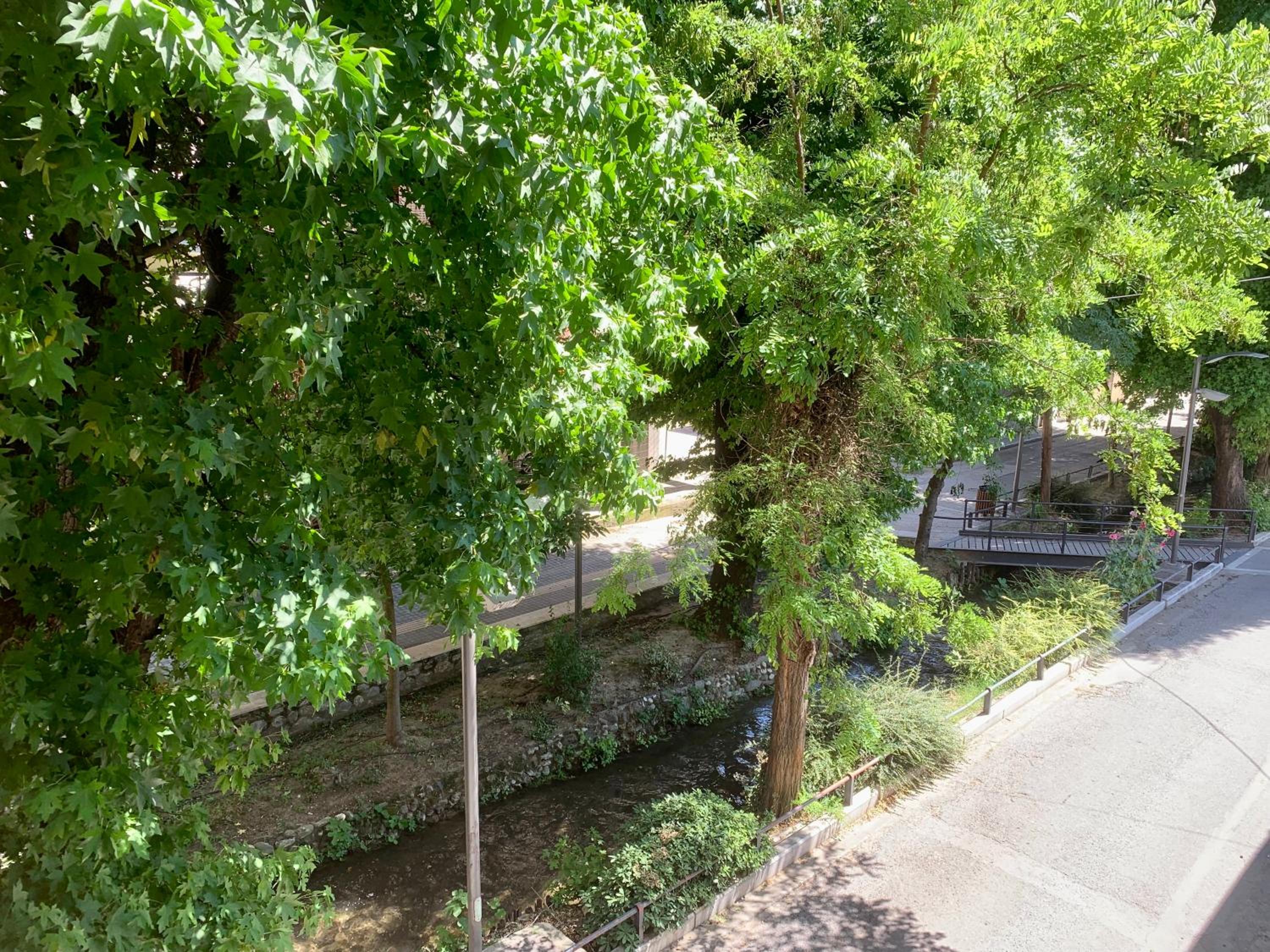 Central & Riverfront Apartment 2