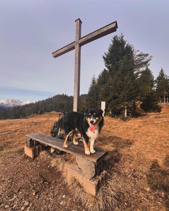 Stanzls - Lodge am Lech